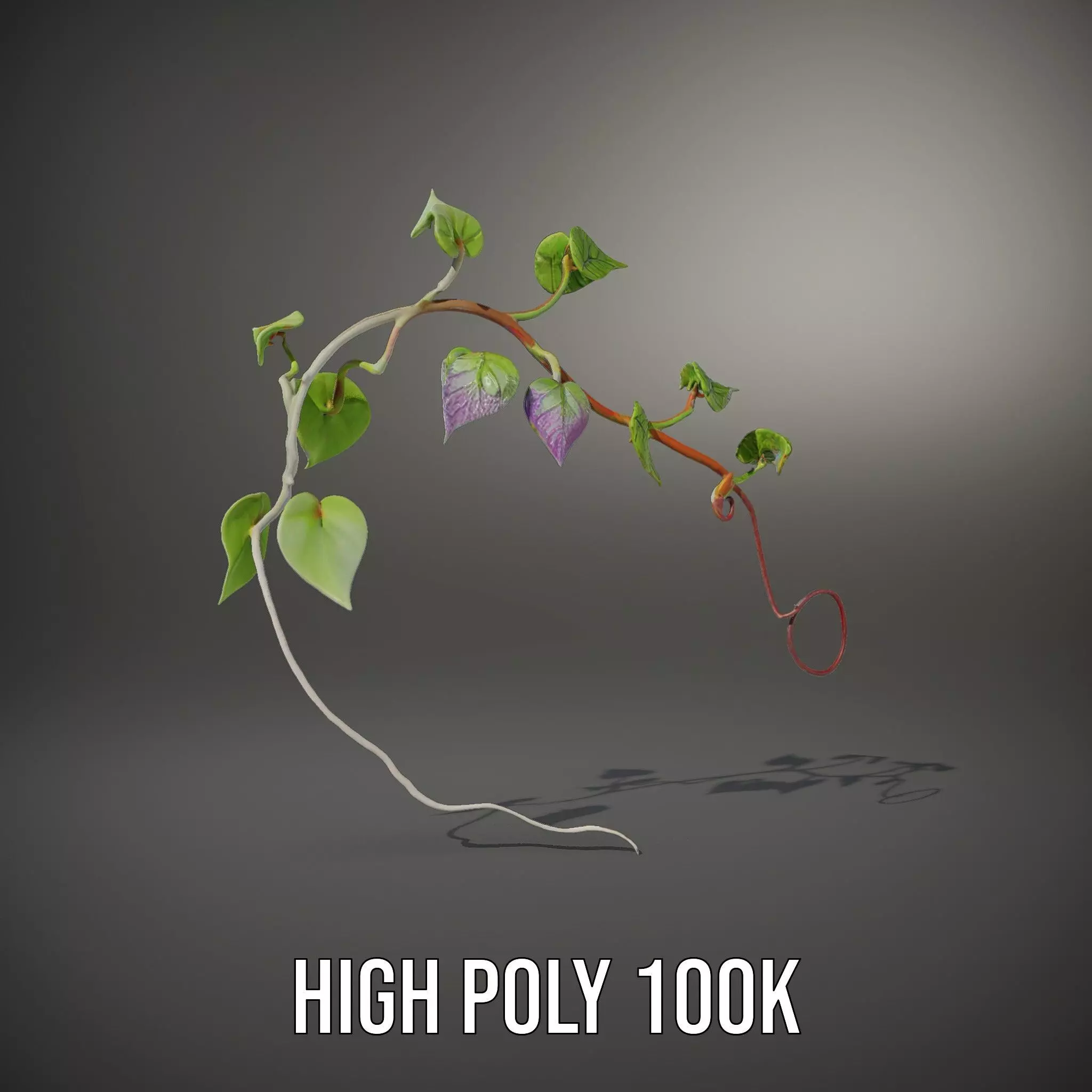 Lush Vine Foliage model pack Low-poly 3D model_8