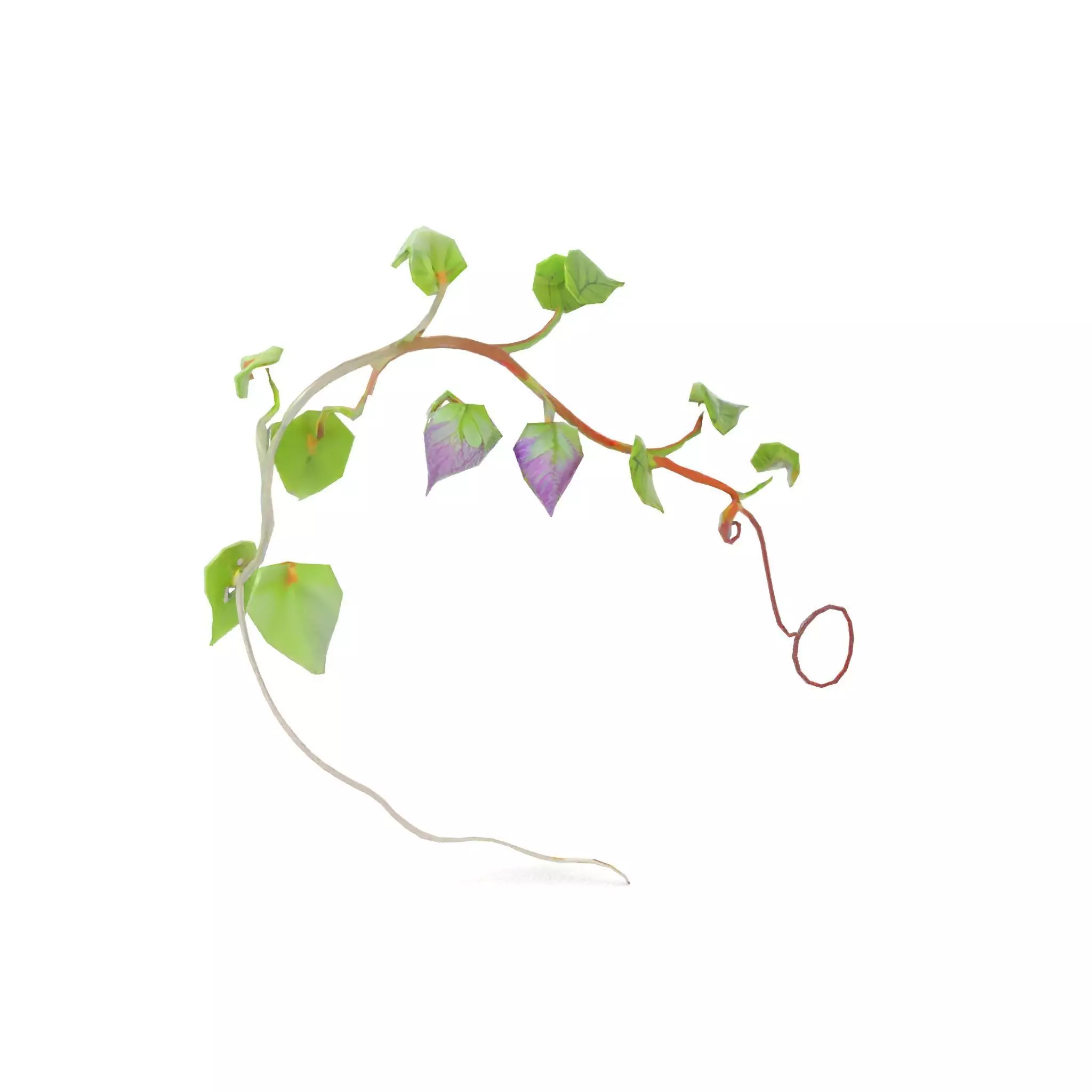 Lush Vine Foliage model pack Low-poly 3D model_7