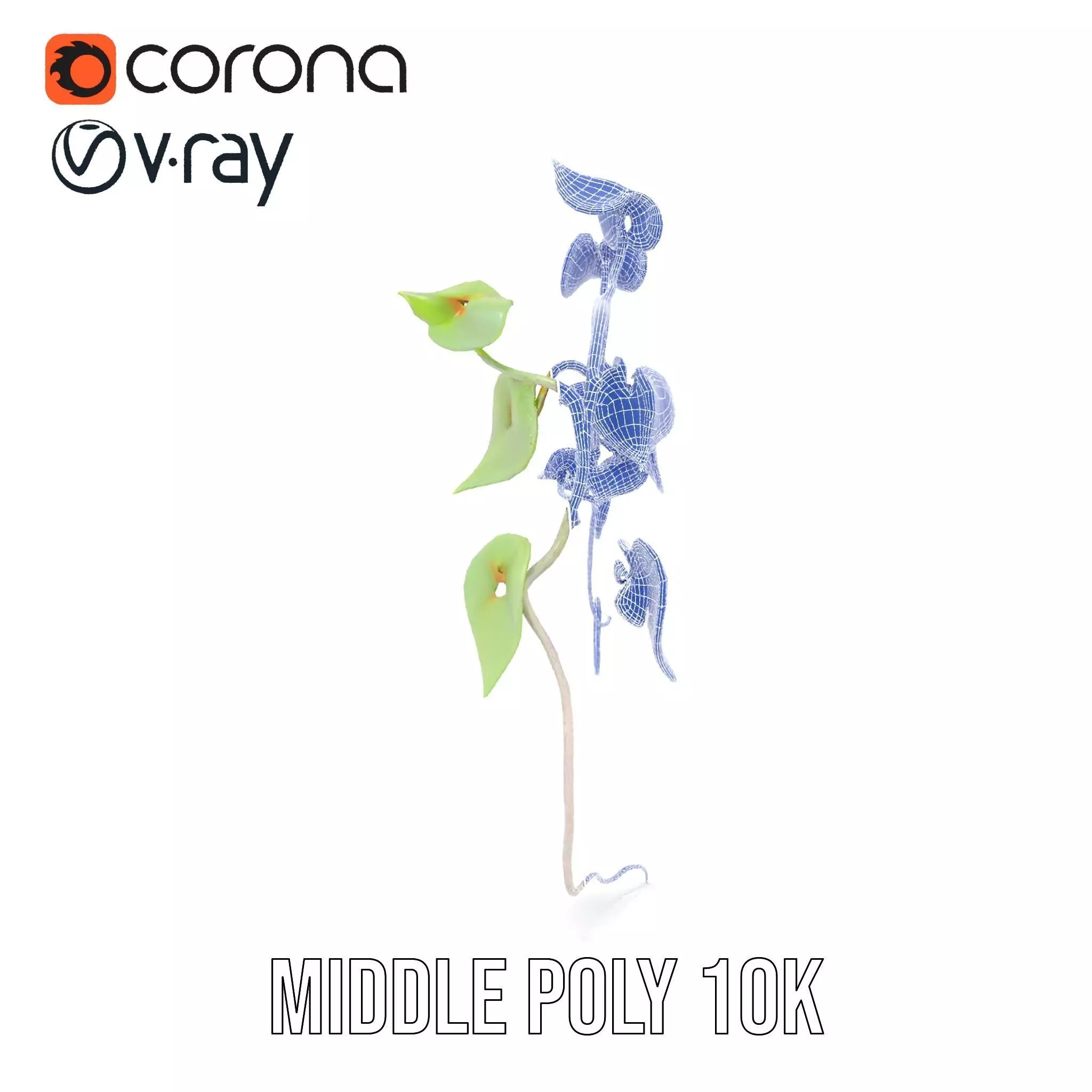 Lush Vine Foliage model pack Low-poly 3D model_26