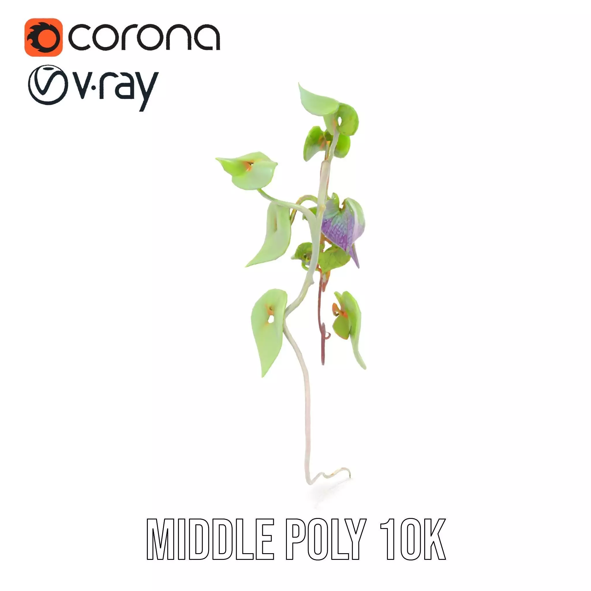 Lush Vine Foliage model pack Low-poly 3D model_5