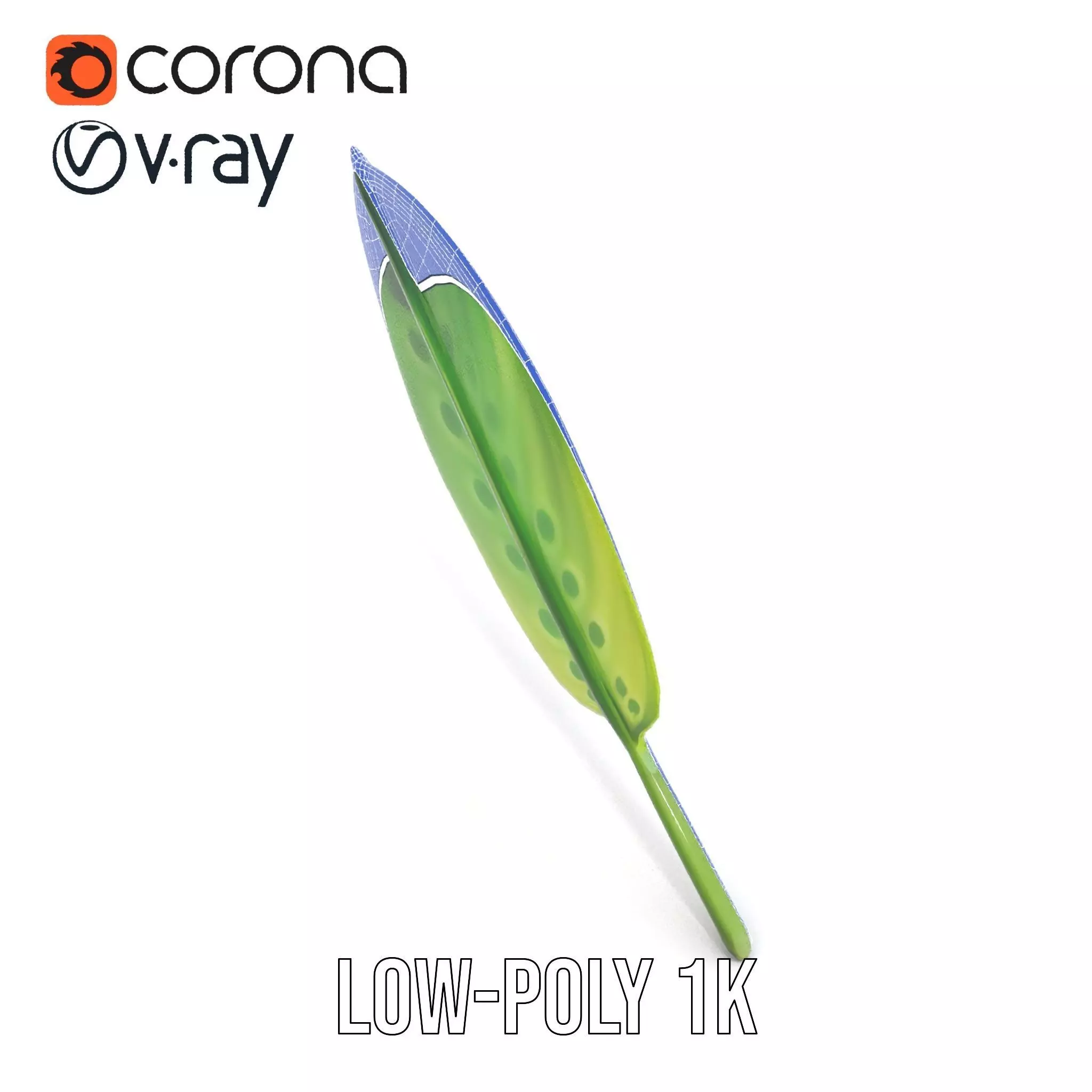 Tropical Leaf Gradient model pack Low-poly 3D model_27