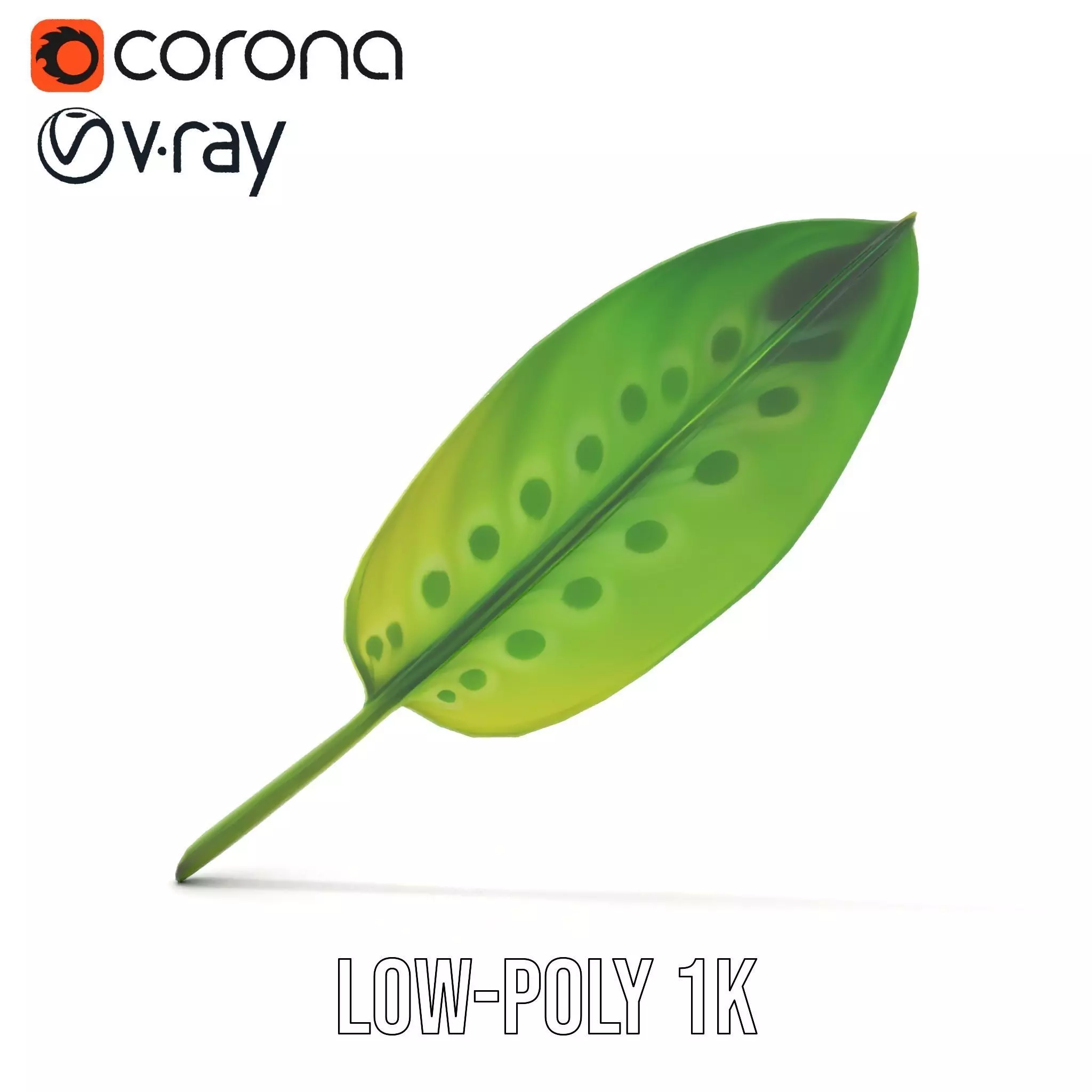 Tropical Leaf Gradient model pack Low-poly 3D model_16