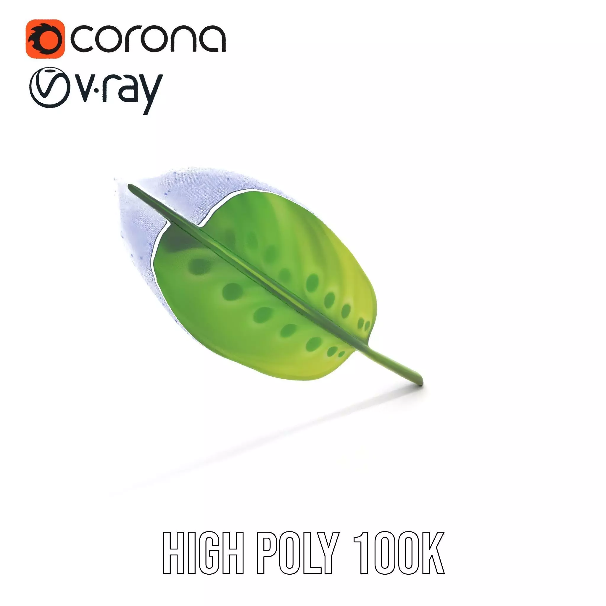 Tropical Leaf Gradient model pack Low-poly 3D model_31