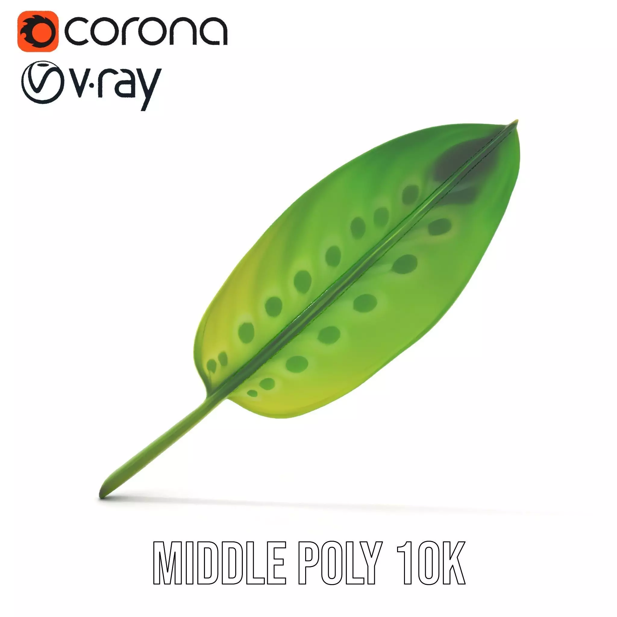 Tropical Leaf Gradient model pack Low-poly 3D model_24