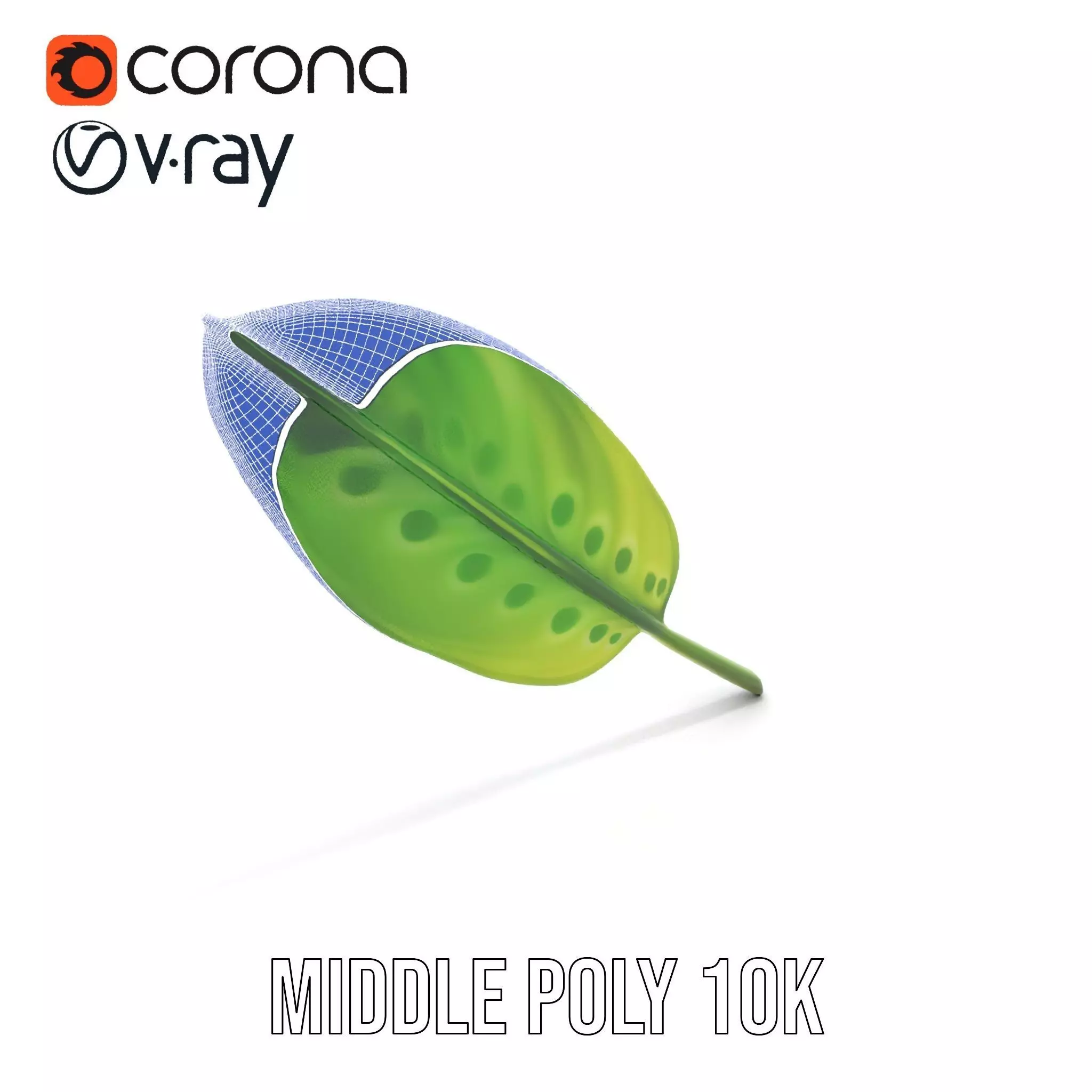 Tropical Leaf Gradient model pack Low-poly 3D model_5