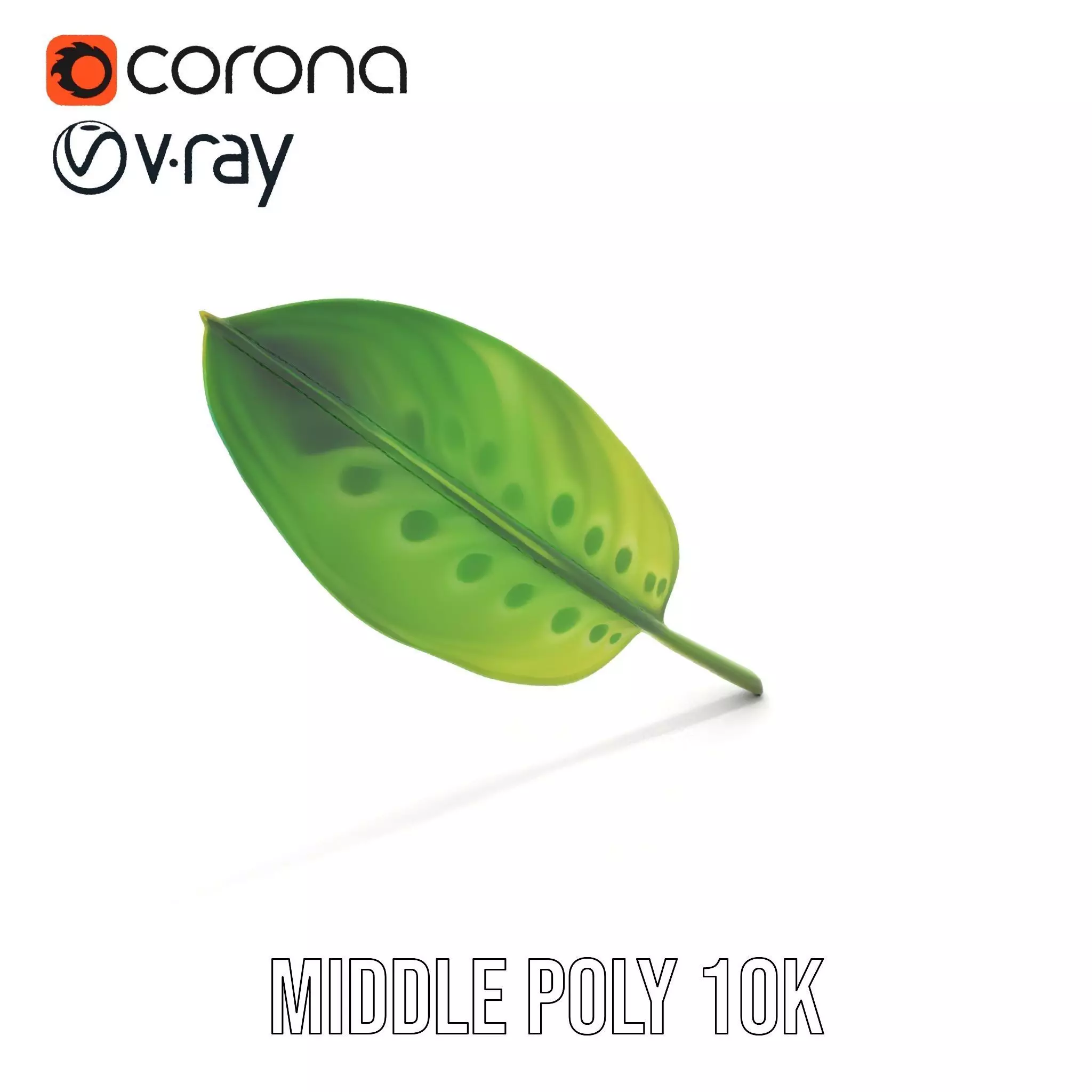 Tropical Leaf Gradient model pack Low-poly 3D model_11