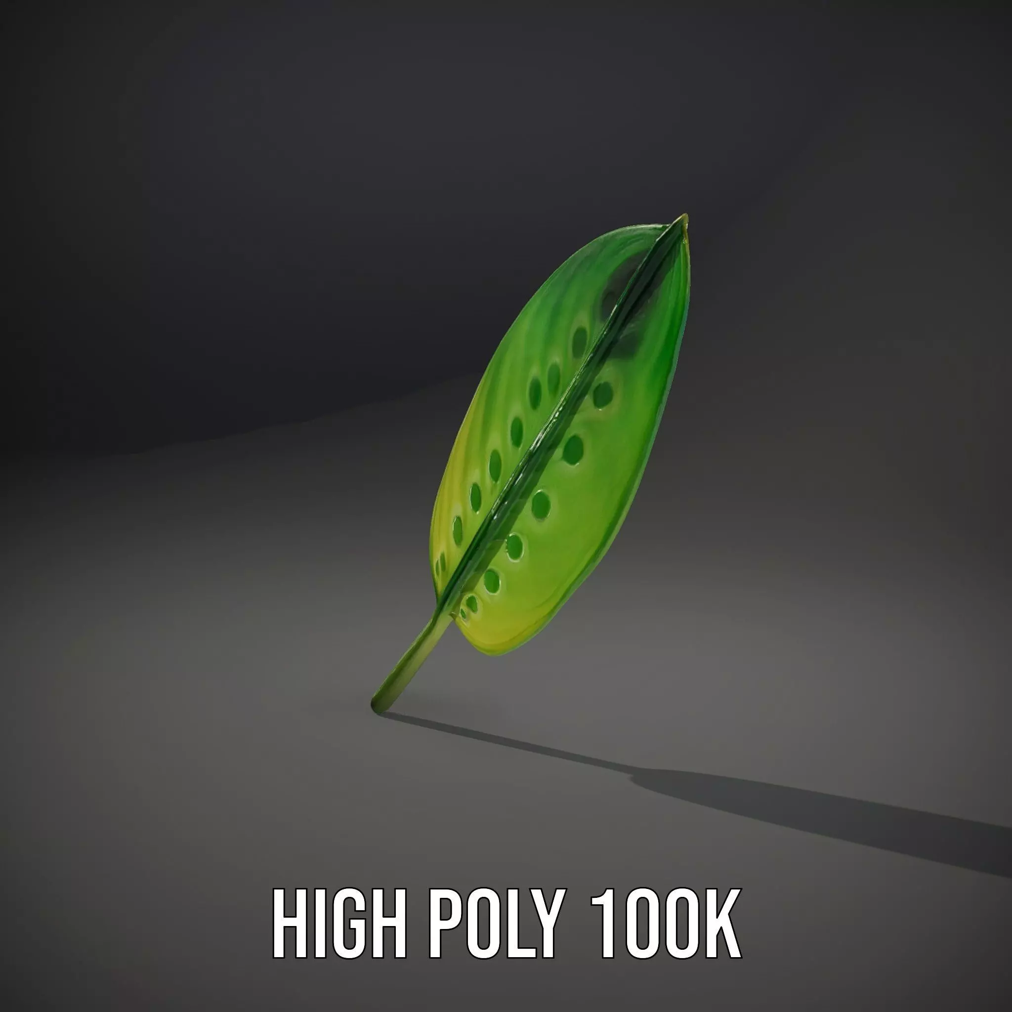 Tropical Leaf Gradient model pack Low-poly 3D model_8