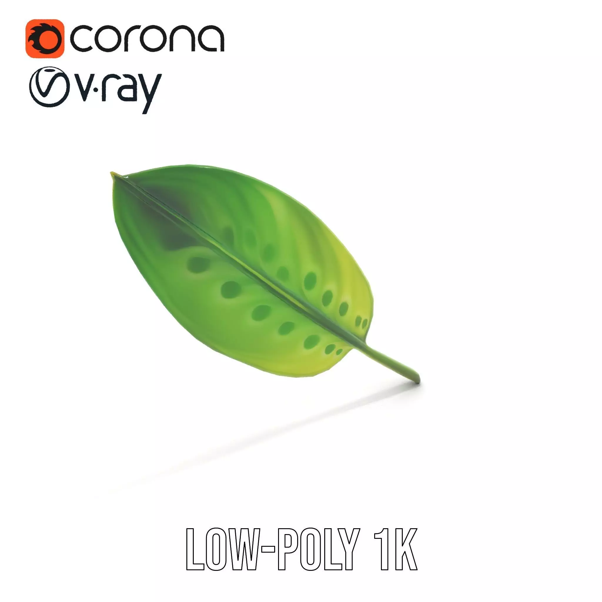 Tropical Leaf Gradient model pack Low-poly 3D model_14