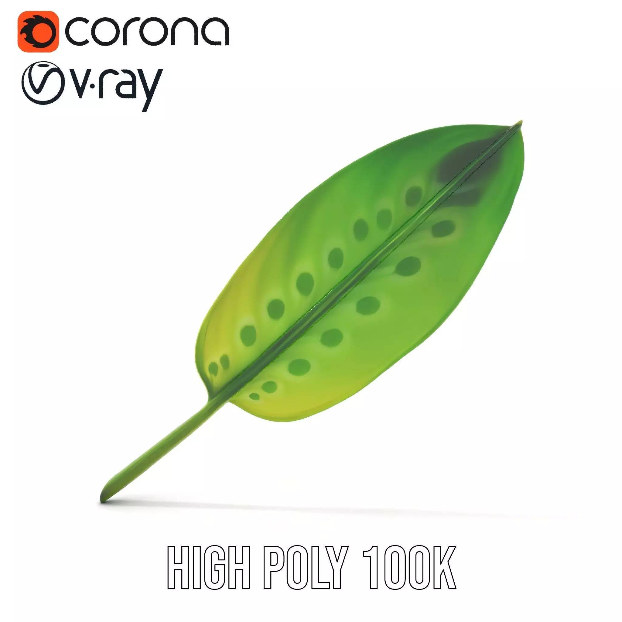 Tropical Leaf Gradient model pack Low-poly 3D model_20