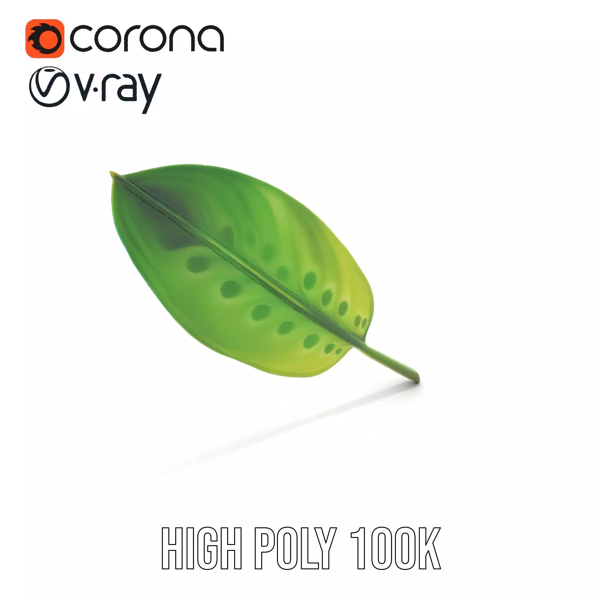 Tropical Leaf Gradient model pack Low-poly 3D model_17