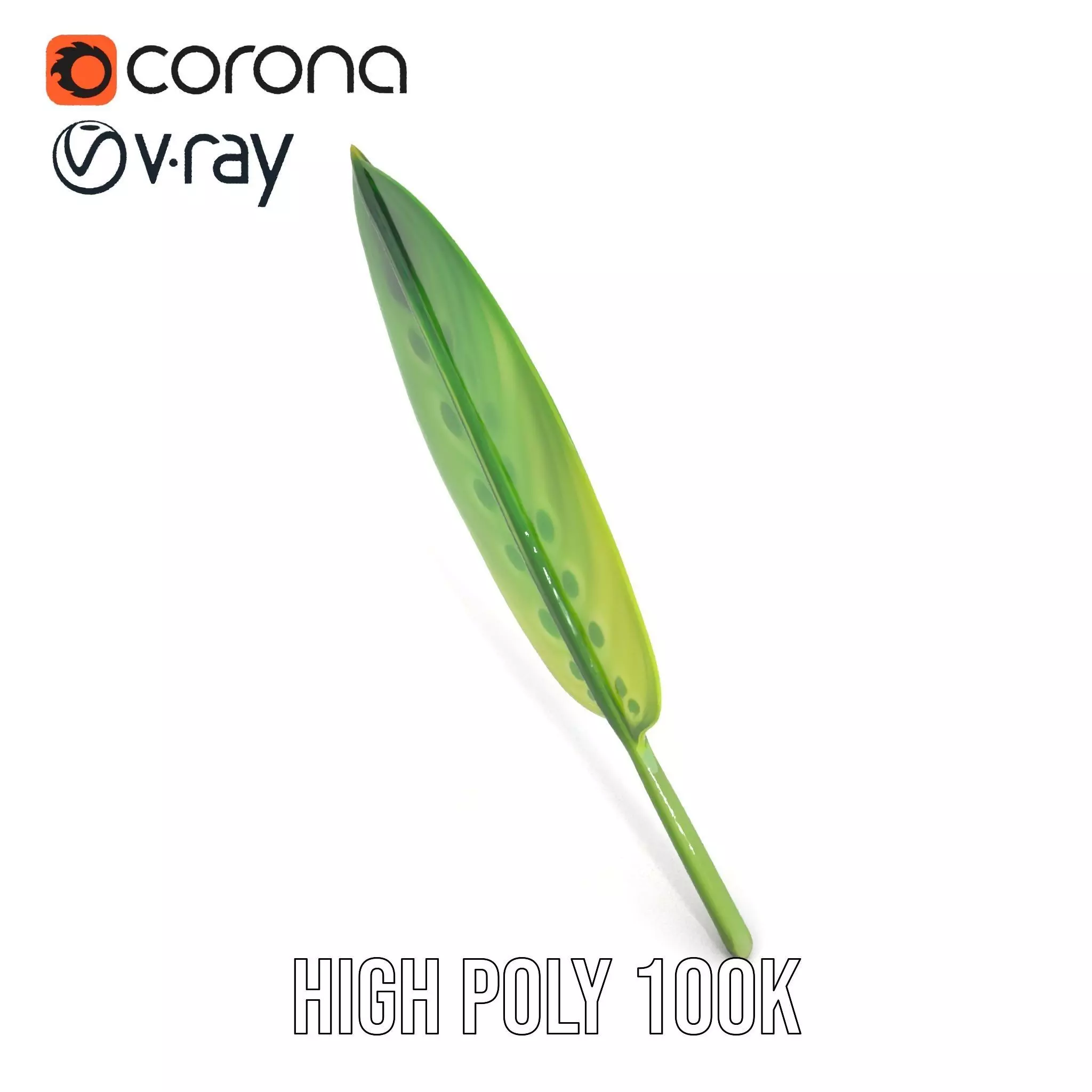 Tropical Leaf Gradient model pack Low-poly 3D model_23