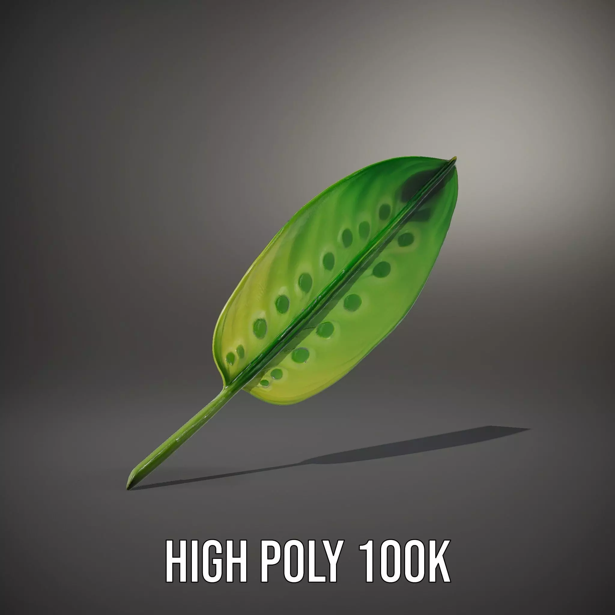 Tropical Leaf Gradient model pack Low-poly 3D model_10