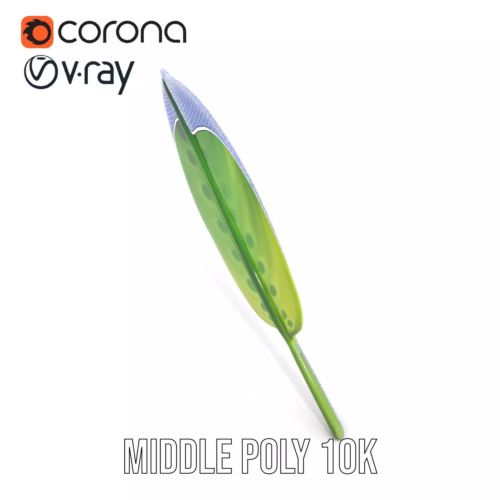 Tropical Leaf Gradient model pack Low-poly 3D model_18