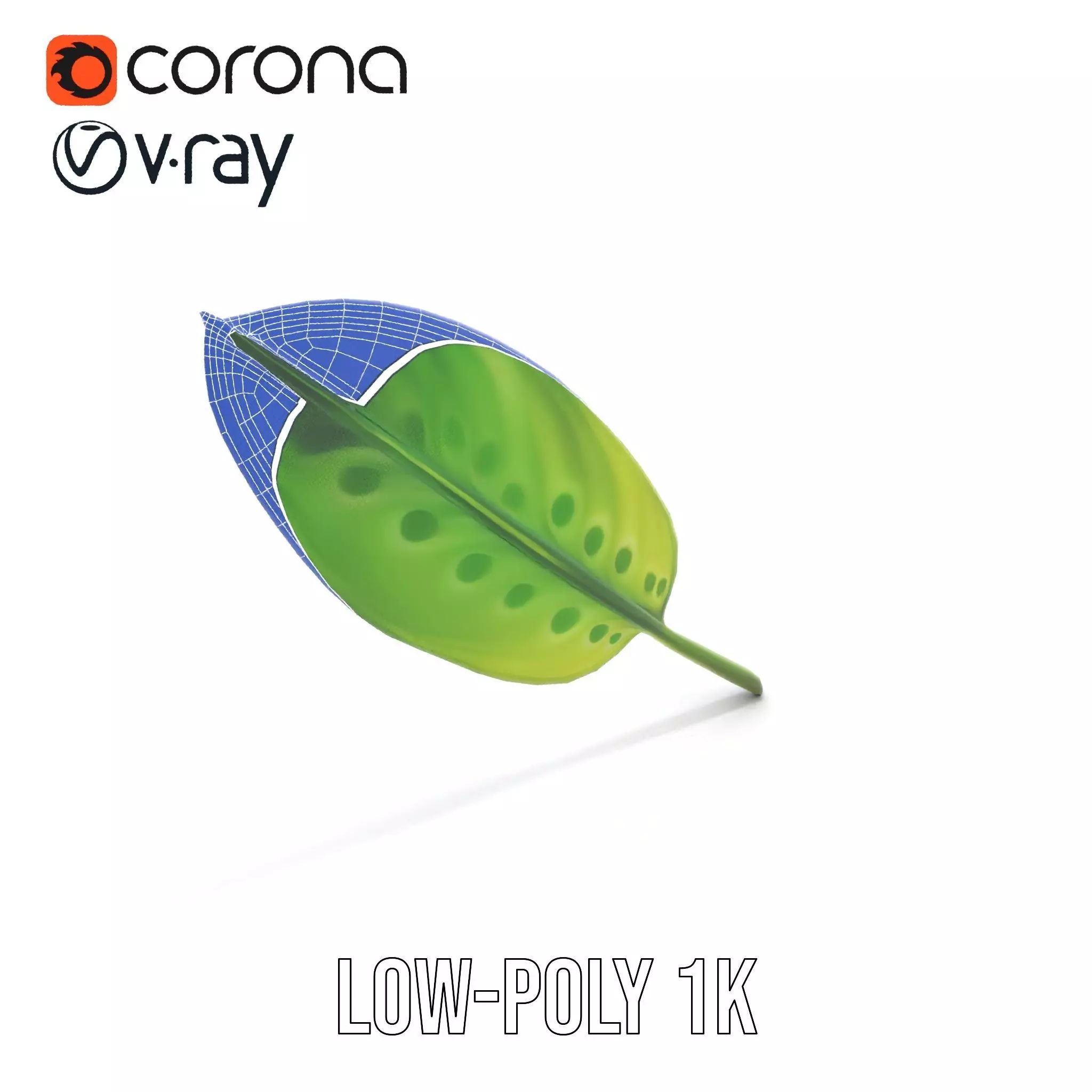 Tropical Leaf Gradient model pack Low-poly 3D model_22