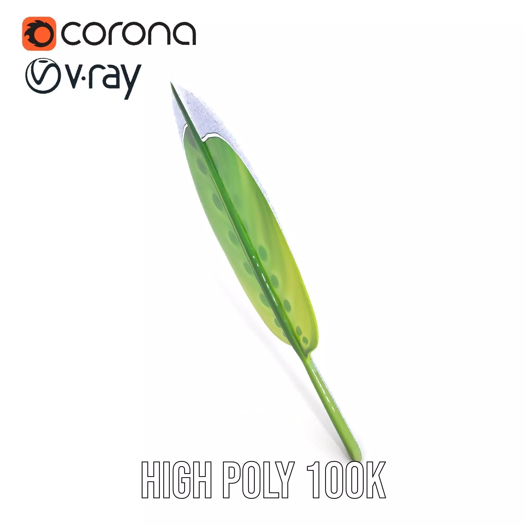 Tropical Leaf Gradient model pack Low-poly 3D model_32