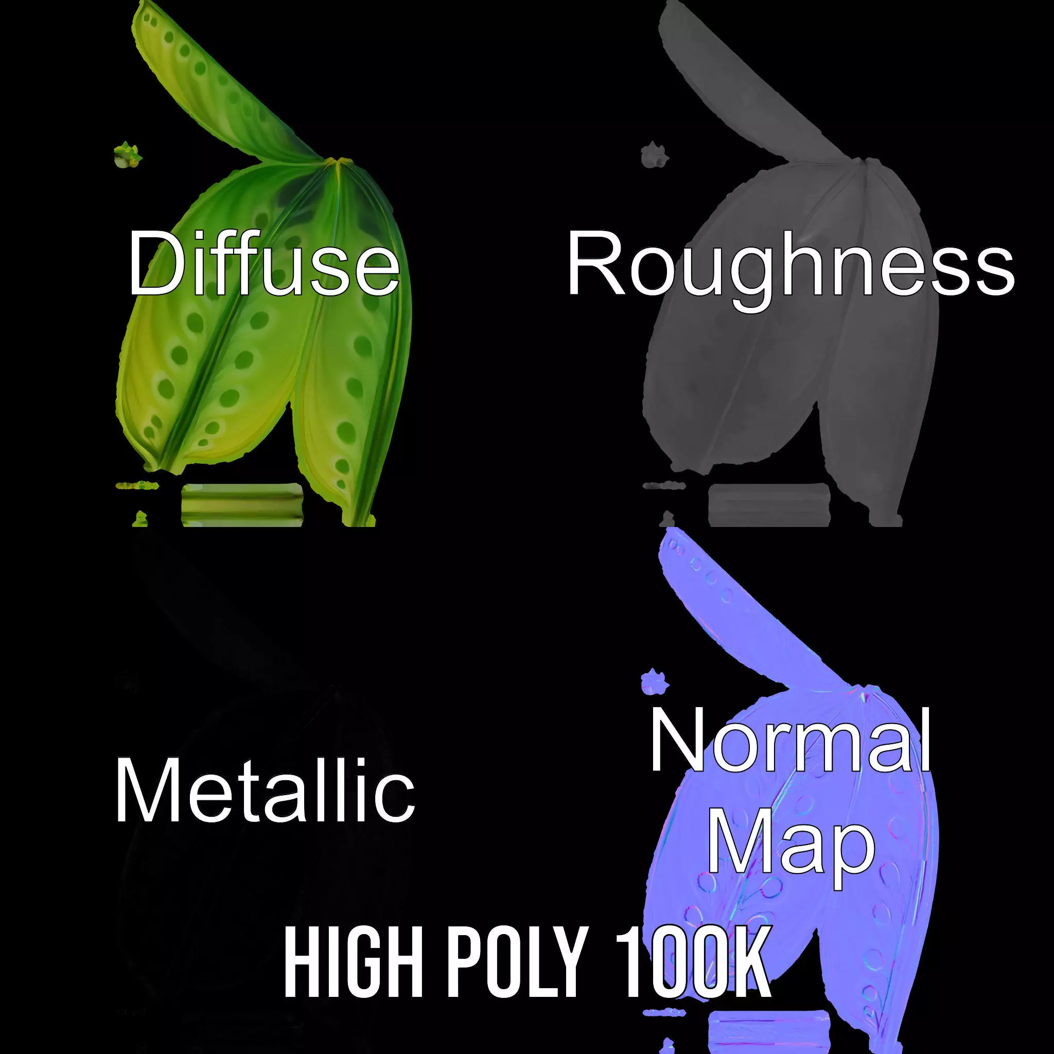 Tropical Leaf Gradient model pack Low-poly 3D model_3