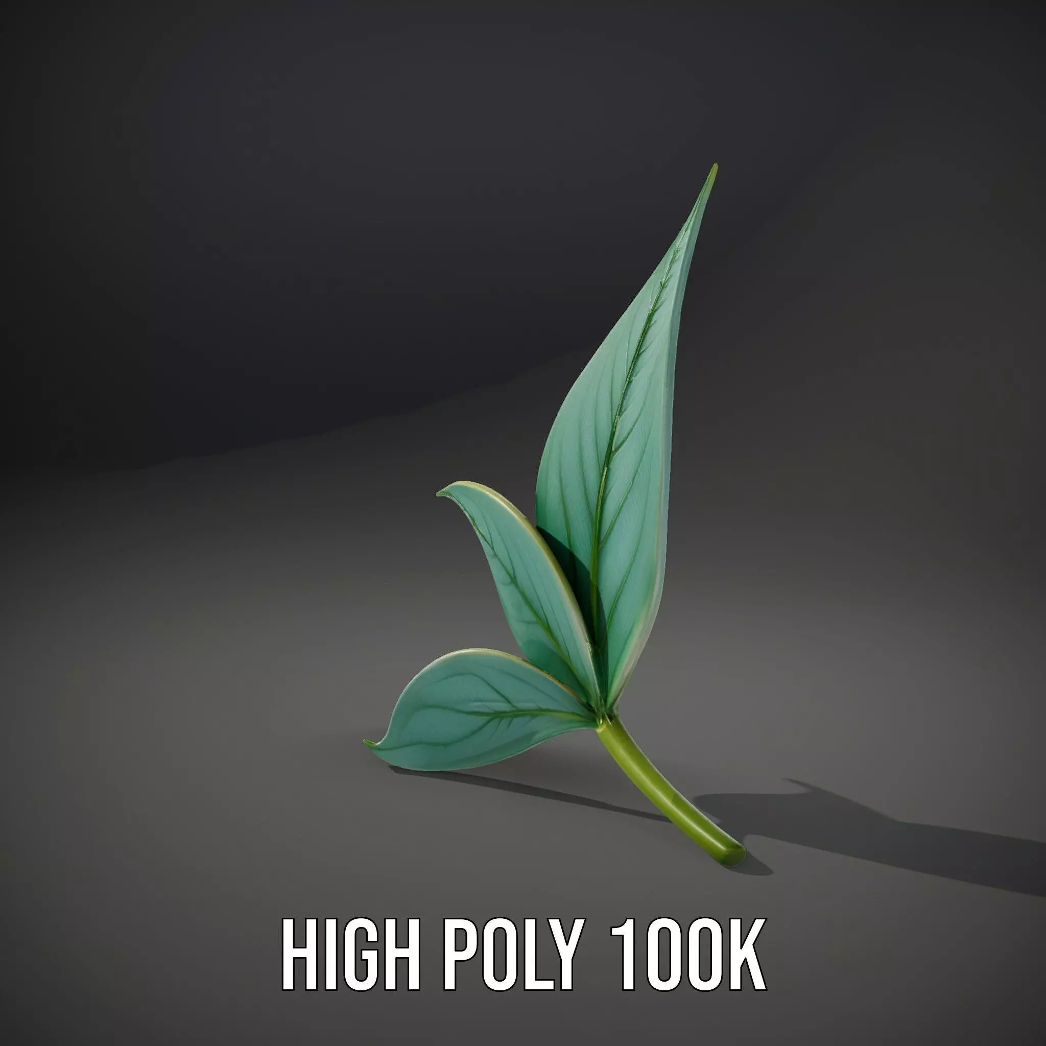 Elegant Leaf model pack Low-poly 3D model_8