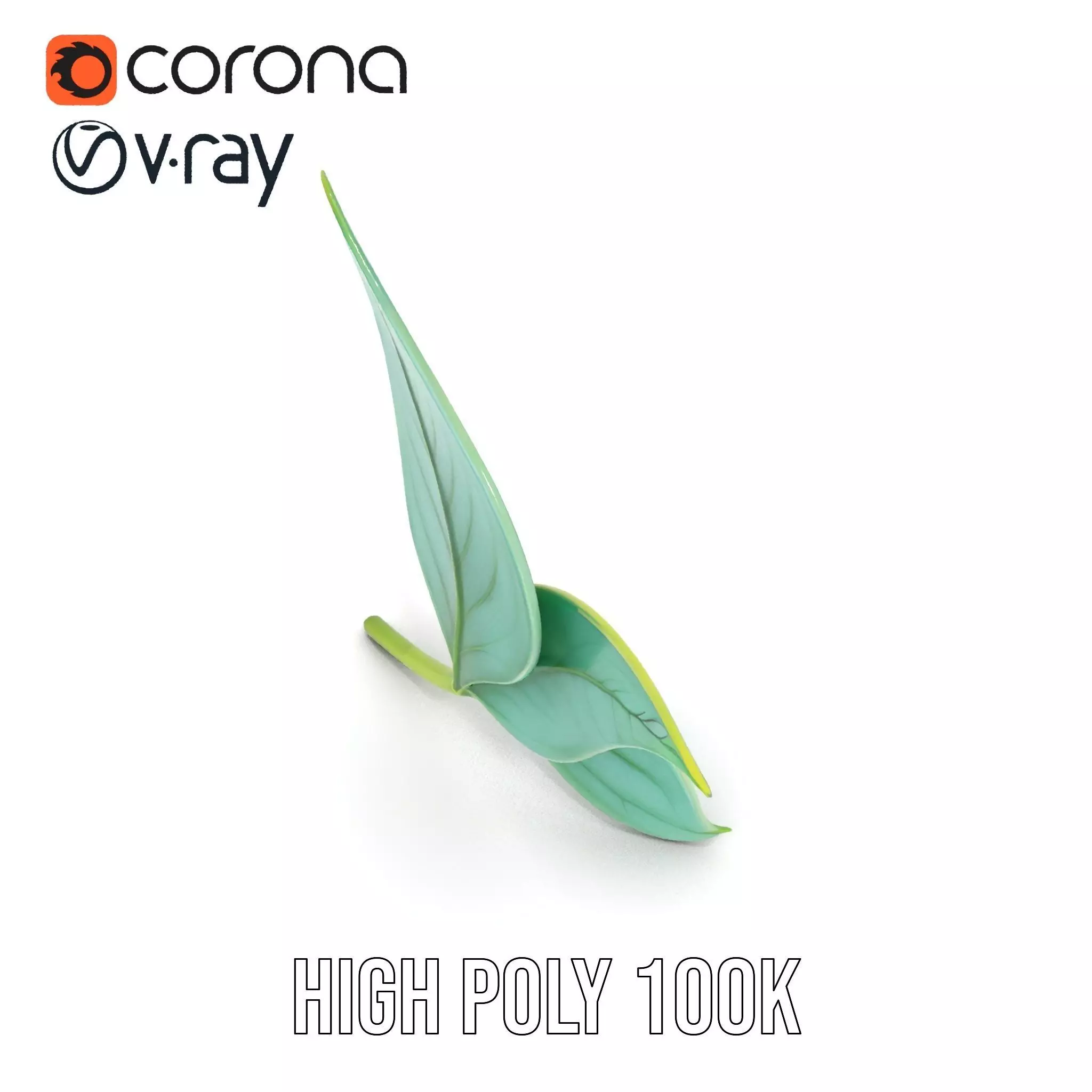 Elegant Leaf model pack Low-poly 3D model_15