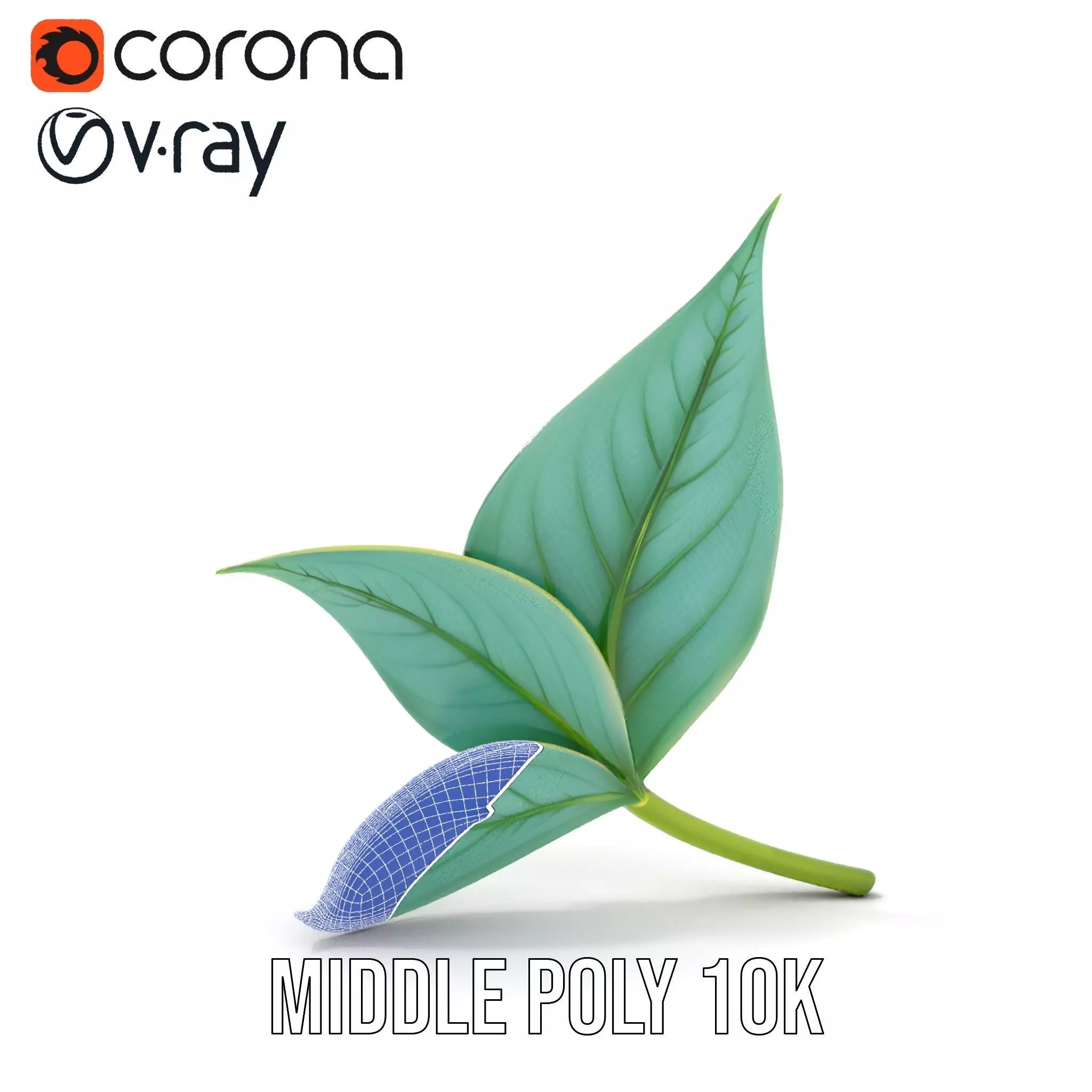 Elegant Leaf model pack Low-poly 3D model_29