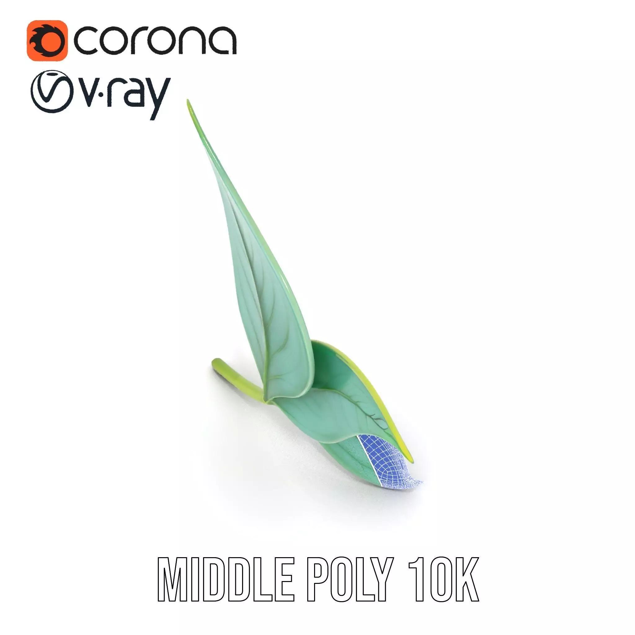 Elegant Leaf model pack Low-poly 3D model_26