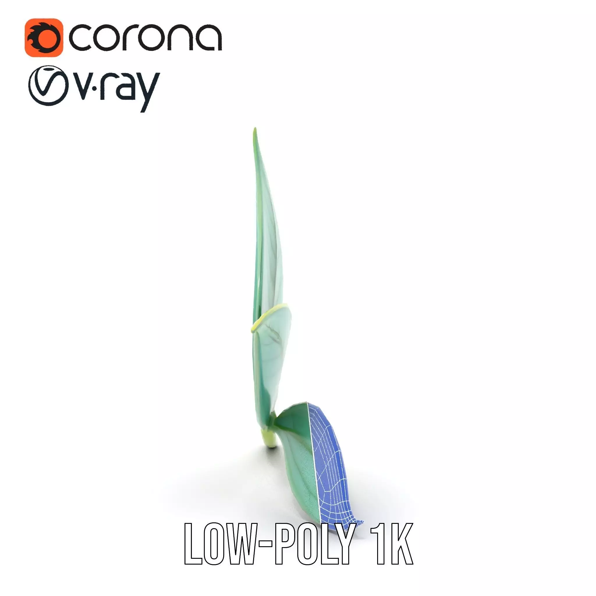 Elegant Leaf model pack Low-poly 3D model_27