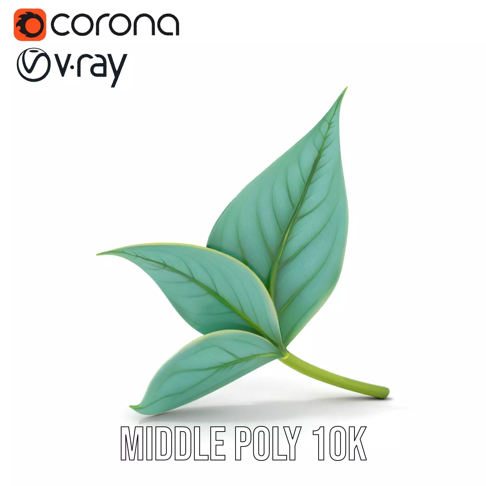 Elegant Leaf model pack Low-poly 3D model_18