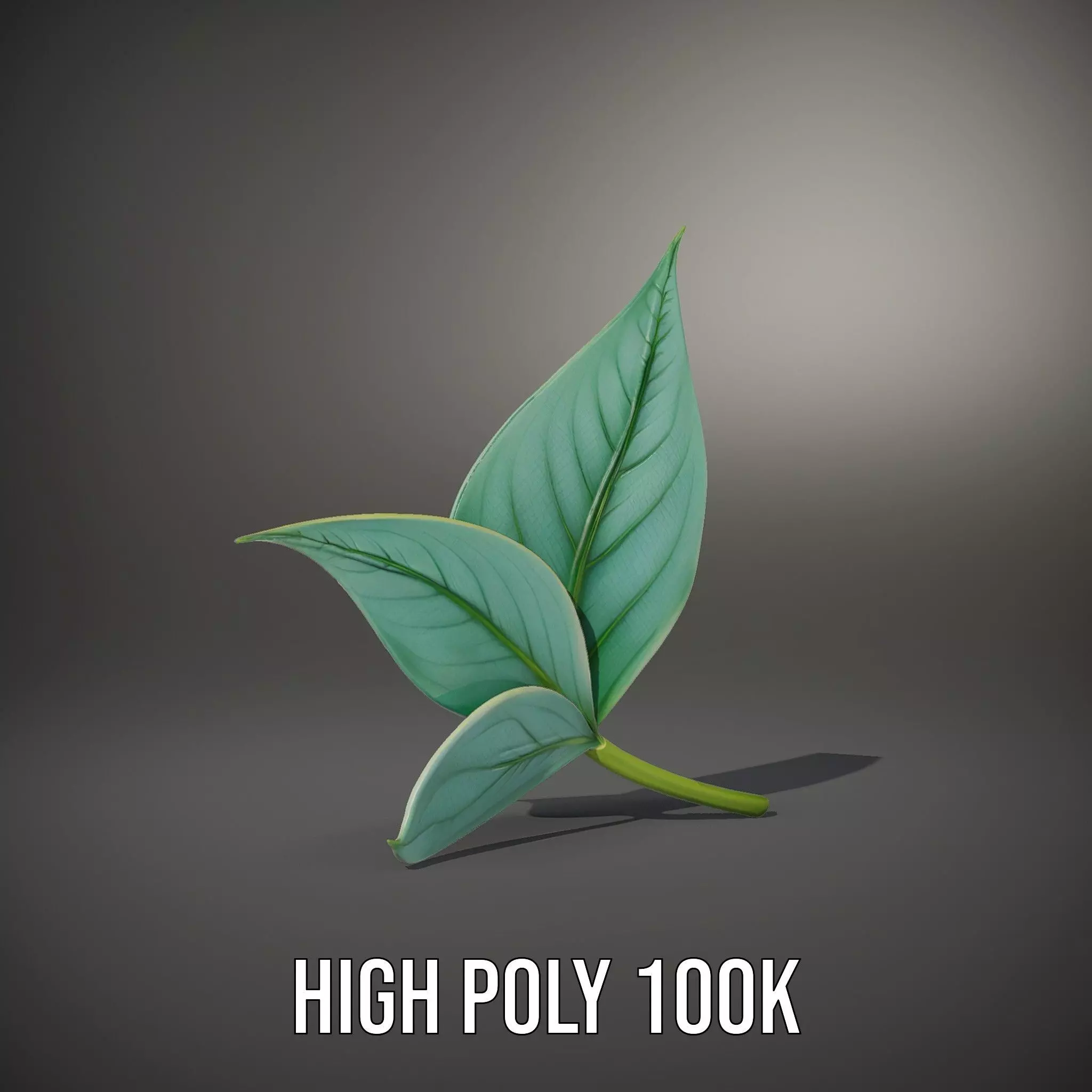 Elegant Leaf model pack Low-poly 3D model_10