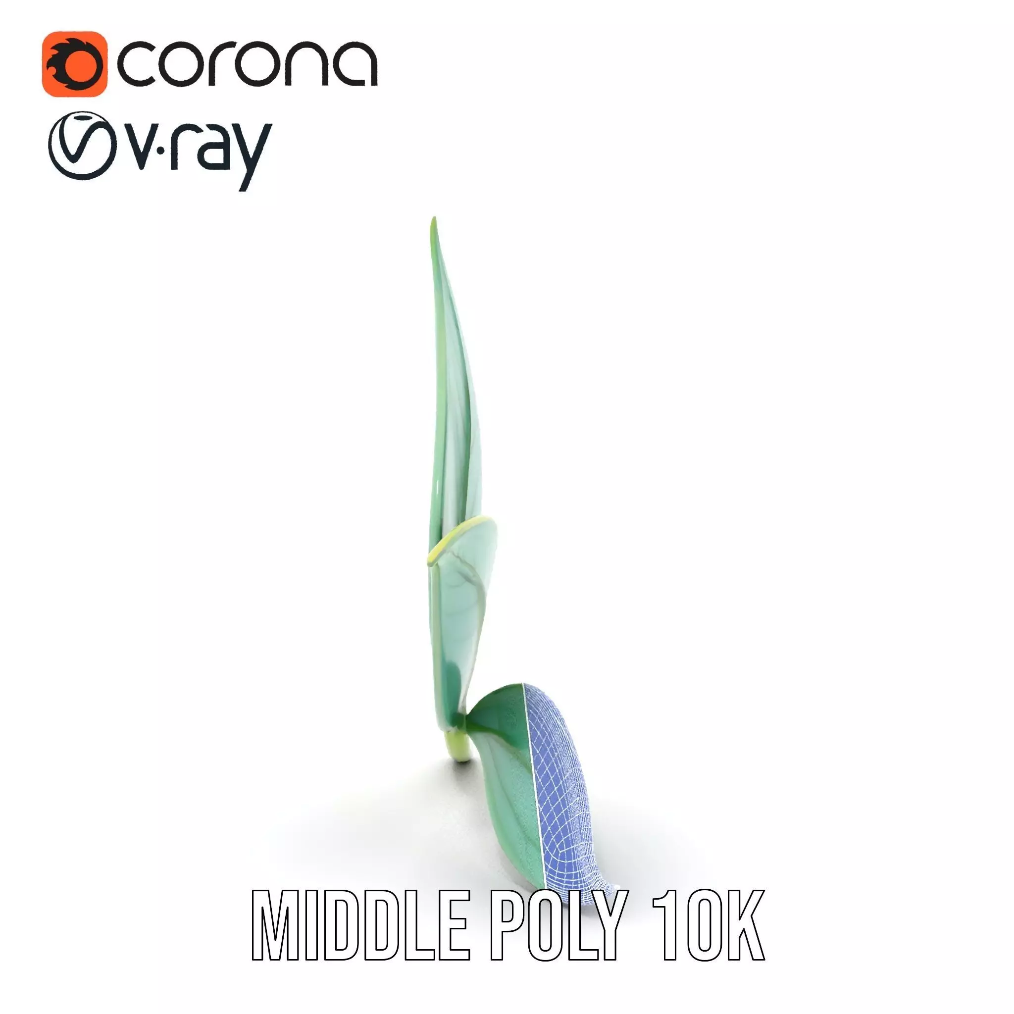 Elegant Leaf model pack Low-poly 3D model_23