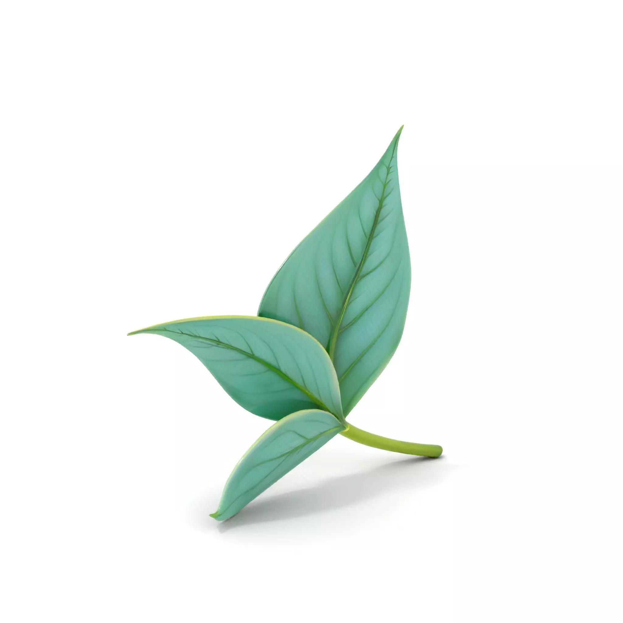 Elegant Leaf model pack Low-poly 3D model_0