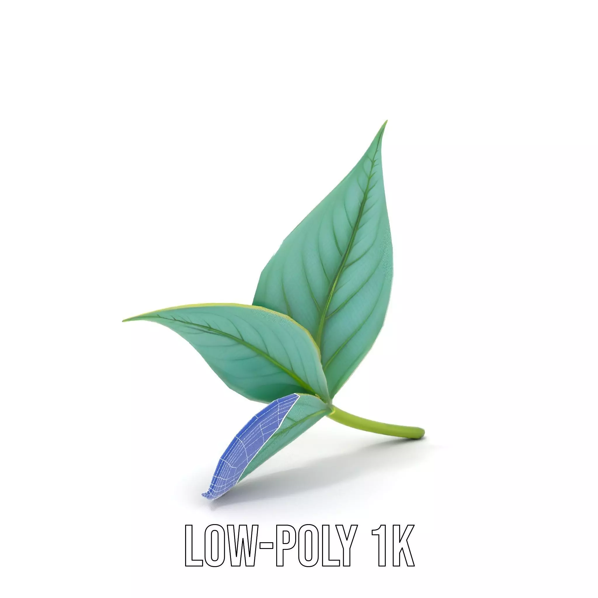 Elegant Leaf model pack Low-poly 3D model_9
