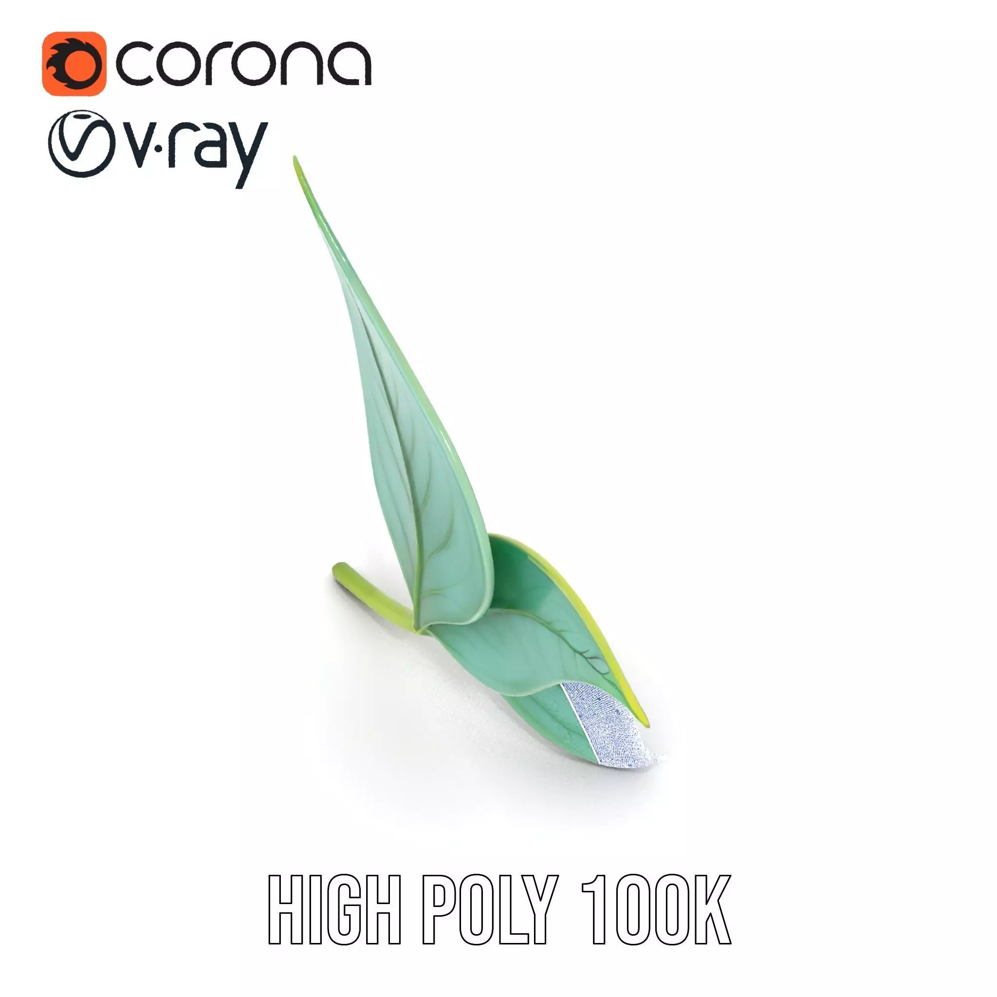 Elegant Leaf model pack Low-poly 3D model_32