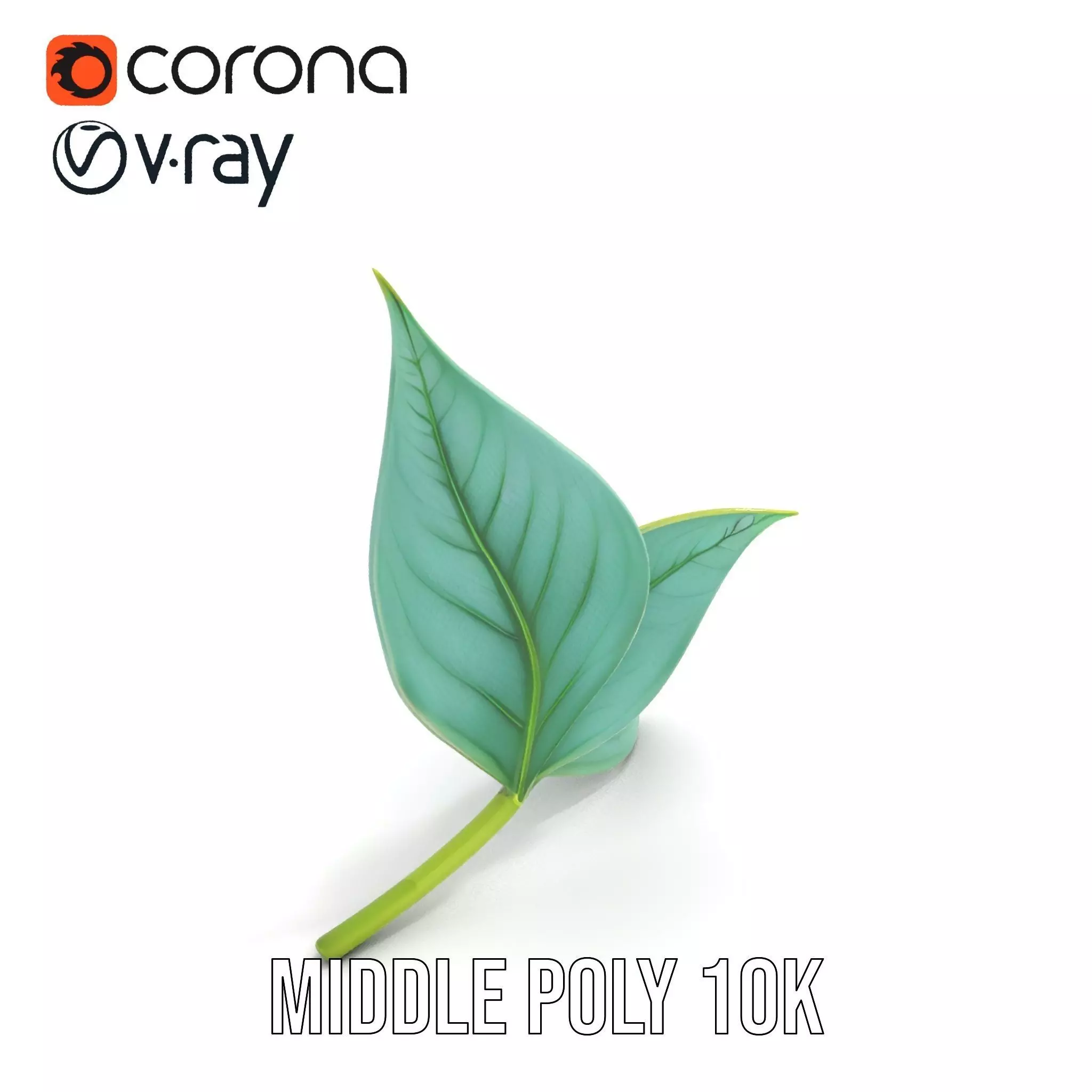 Elegant Leaf model pack Low-poly 3D model_6
