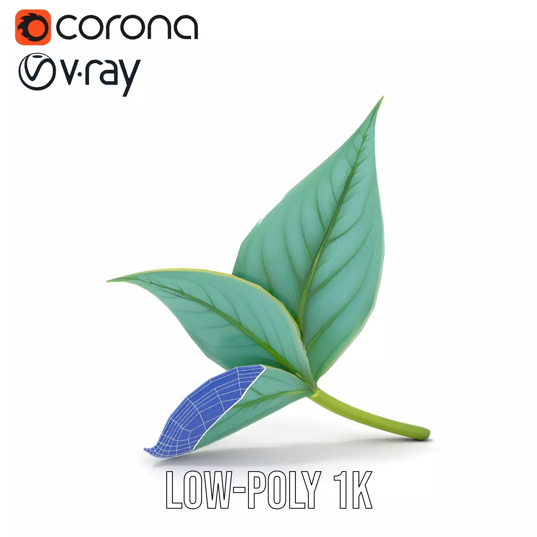 Elegant Leaf model pack Low-poly 3D model_30