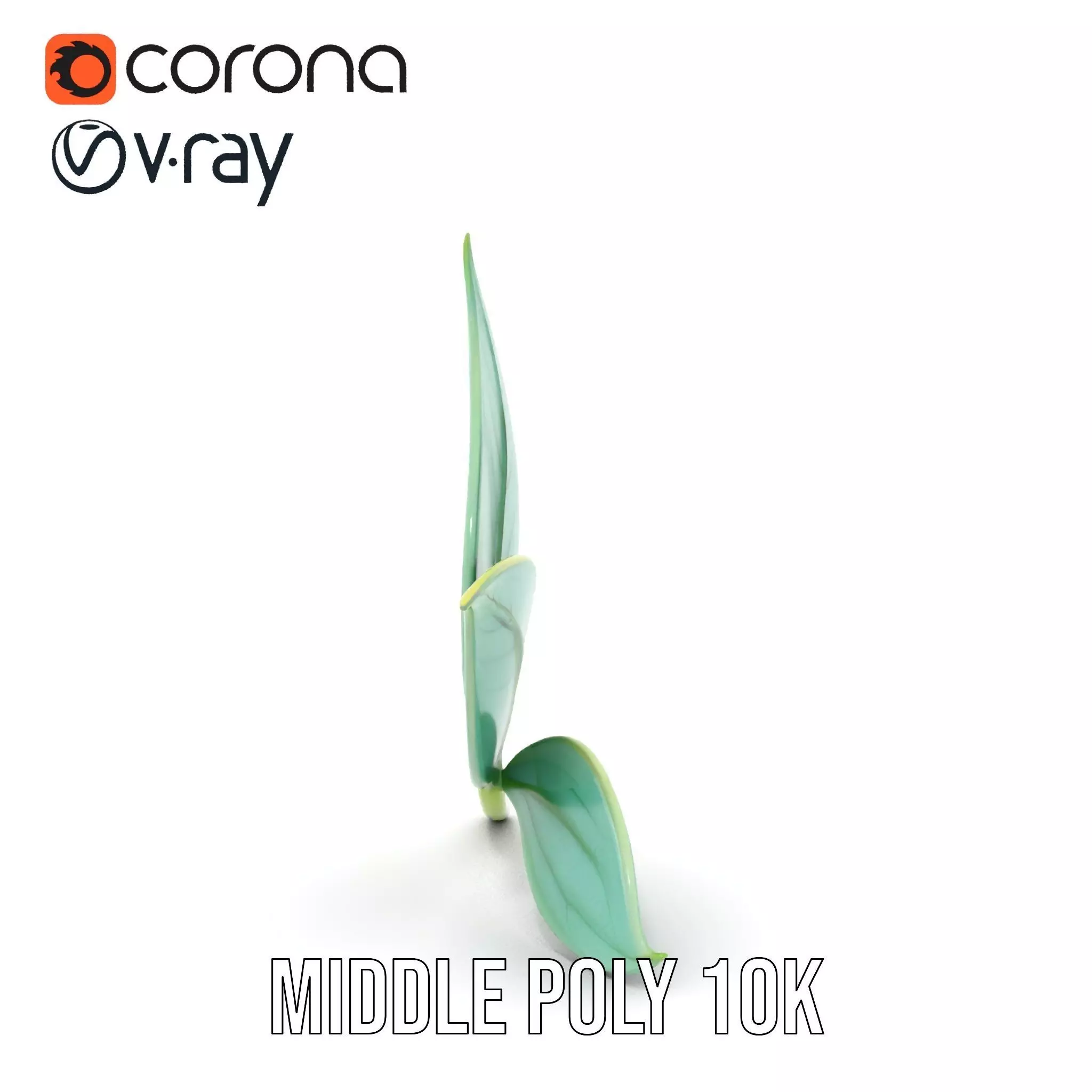 Elegant Leaf model pack Low-poly 3D model_16