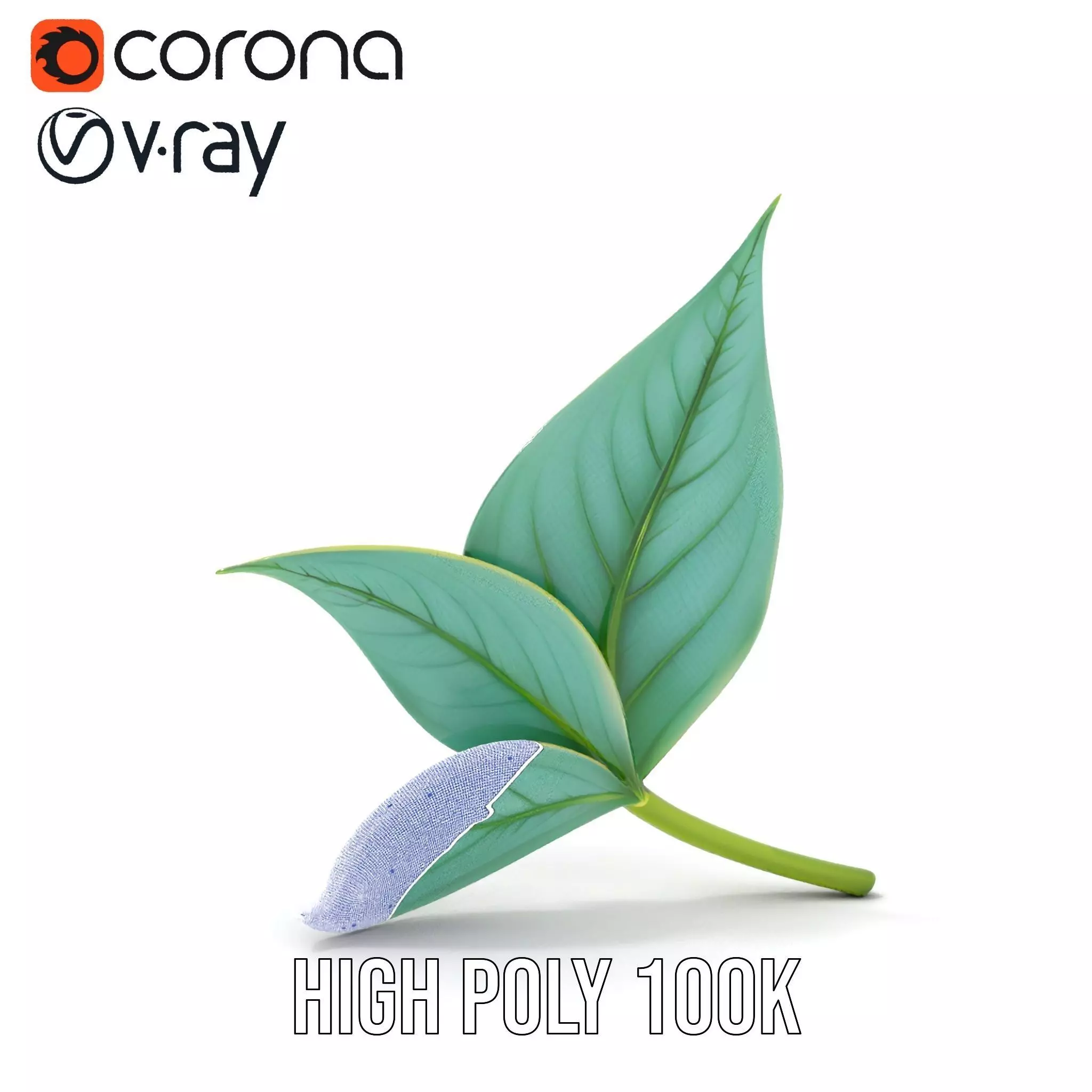 Elegant Leaf model pack Low-poly 3D model_33
