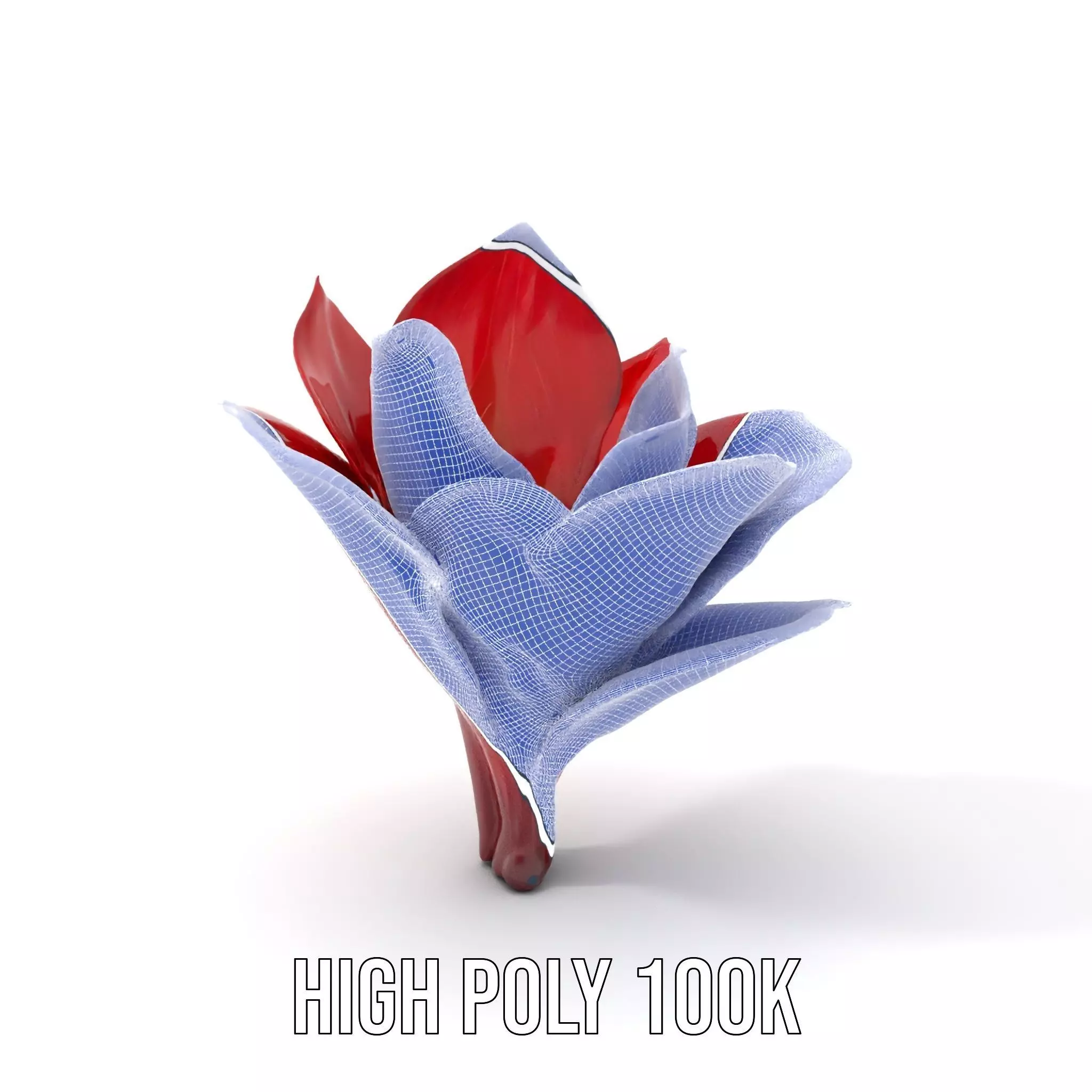 Radiant Lotus Flower model pack Low-poly 3D model_4