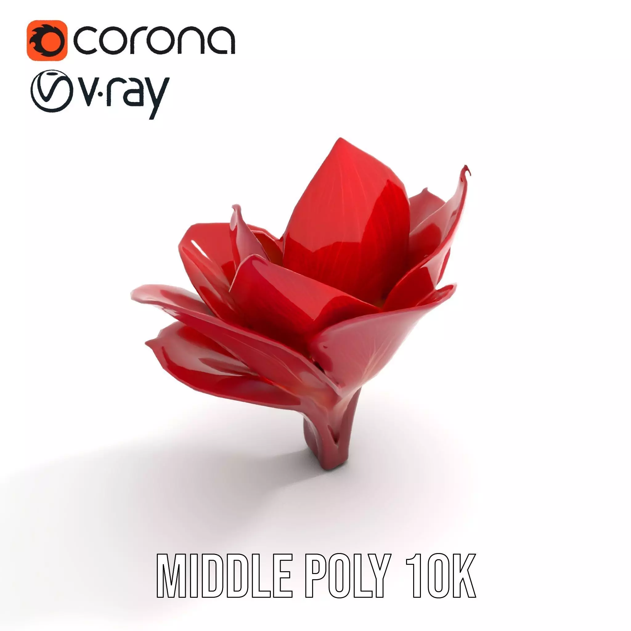 Radiant Lotus Flower model pack Low-poly 3D model_5