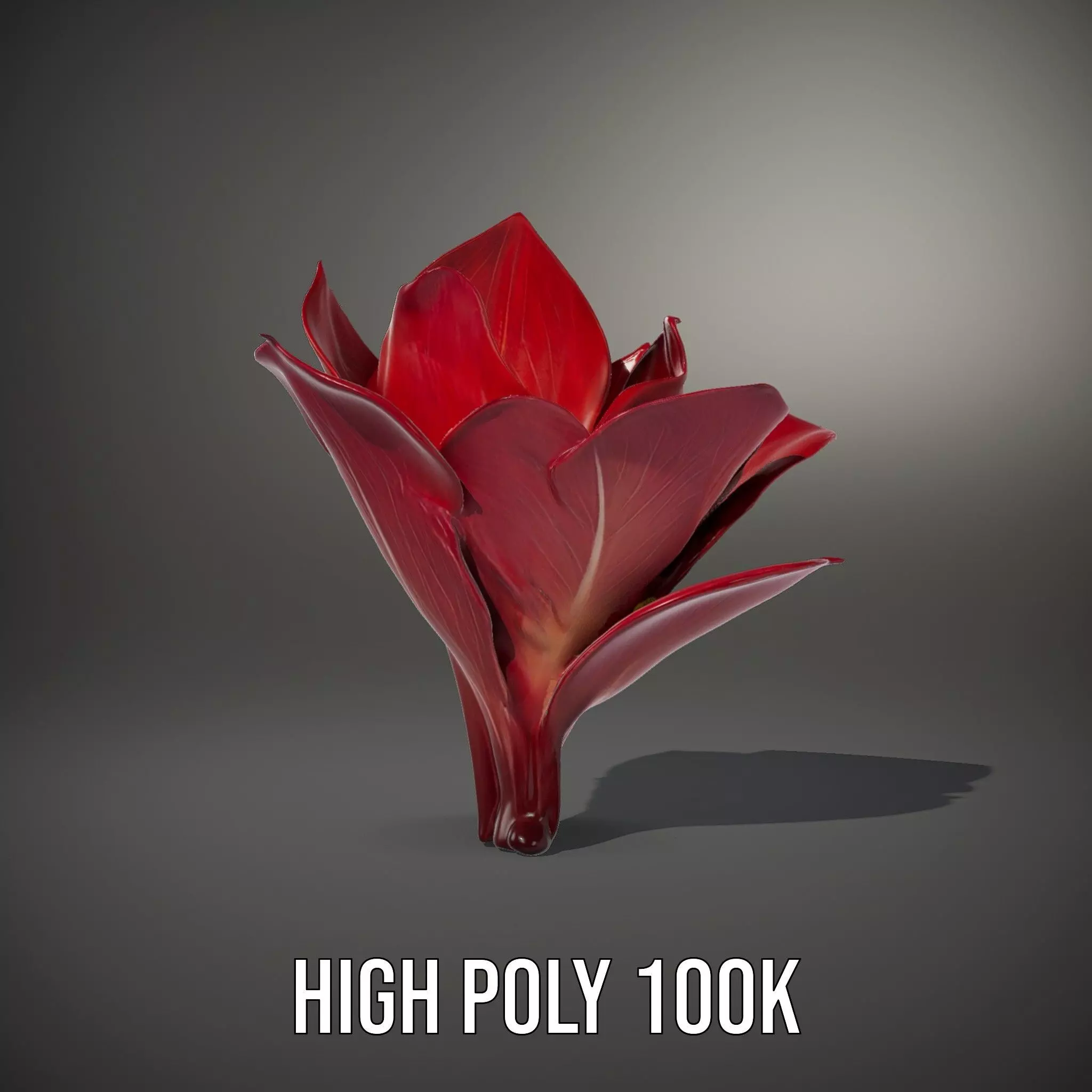 Radiant Lotus Flower model pack Low-poly 3D model_8