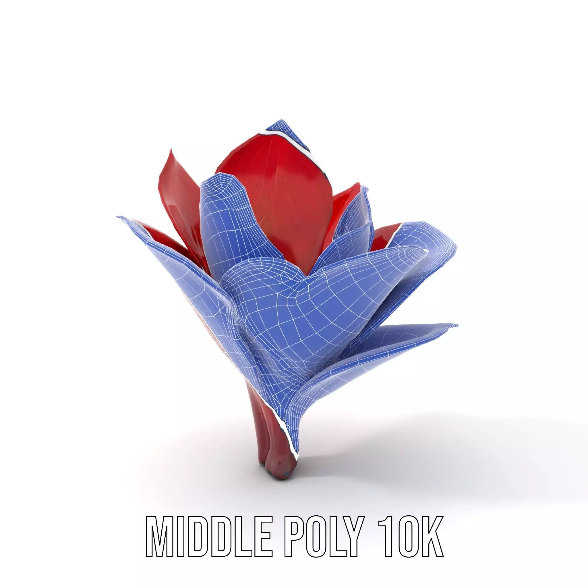 Radiant Lotus Flower model pack Low-poly 3D model_21