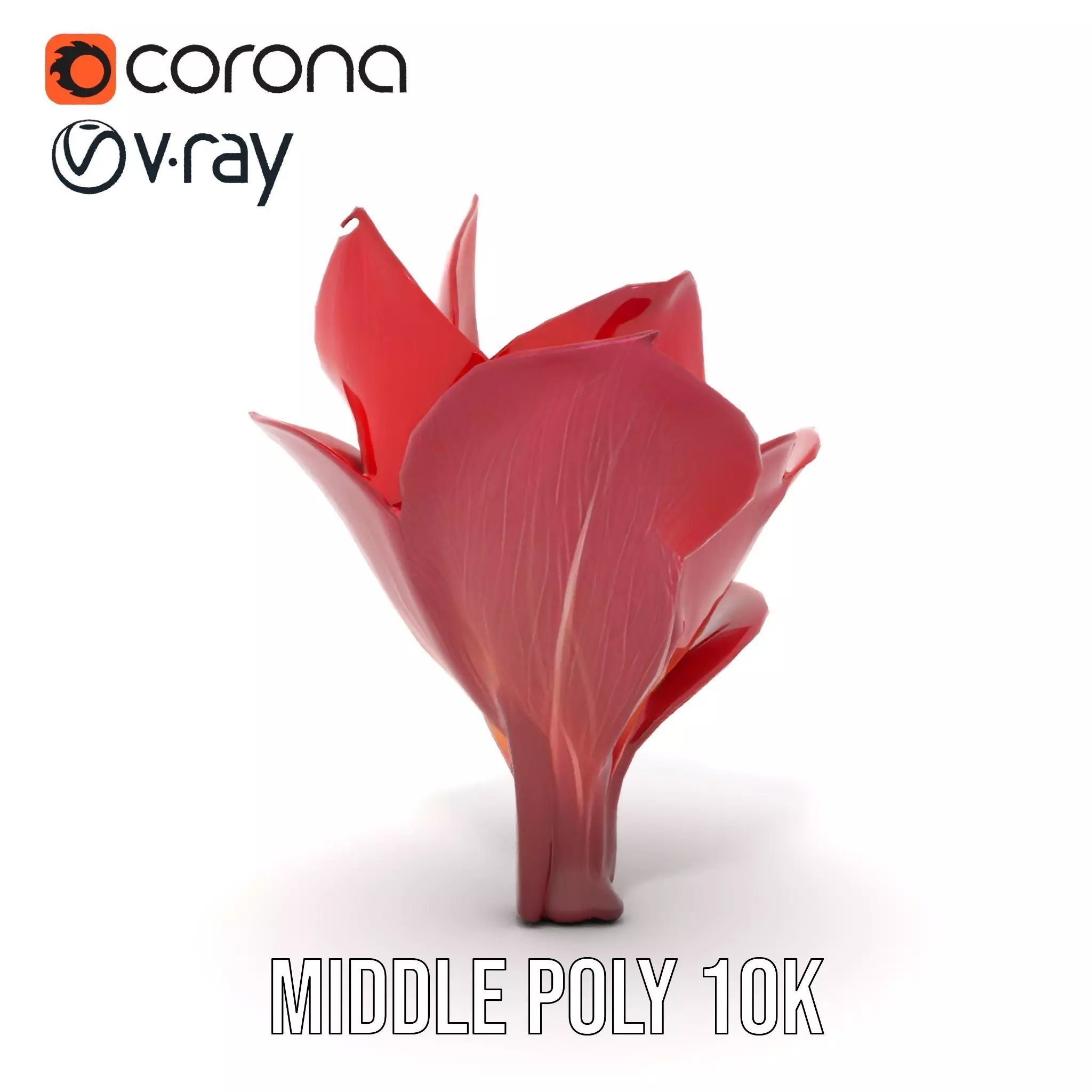 Radiant Lotus Flower model pack Low-poly 3D model_18