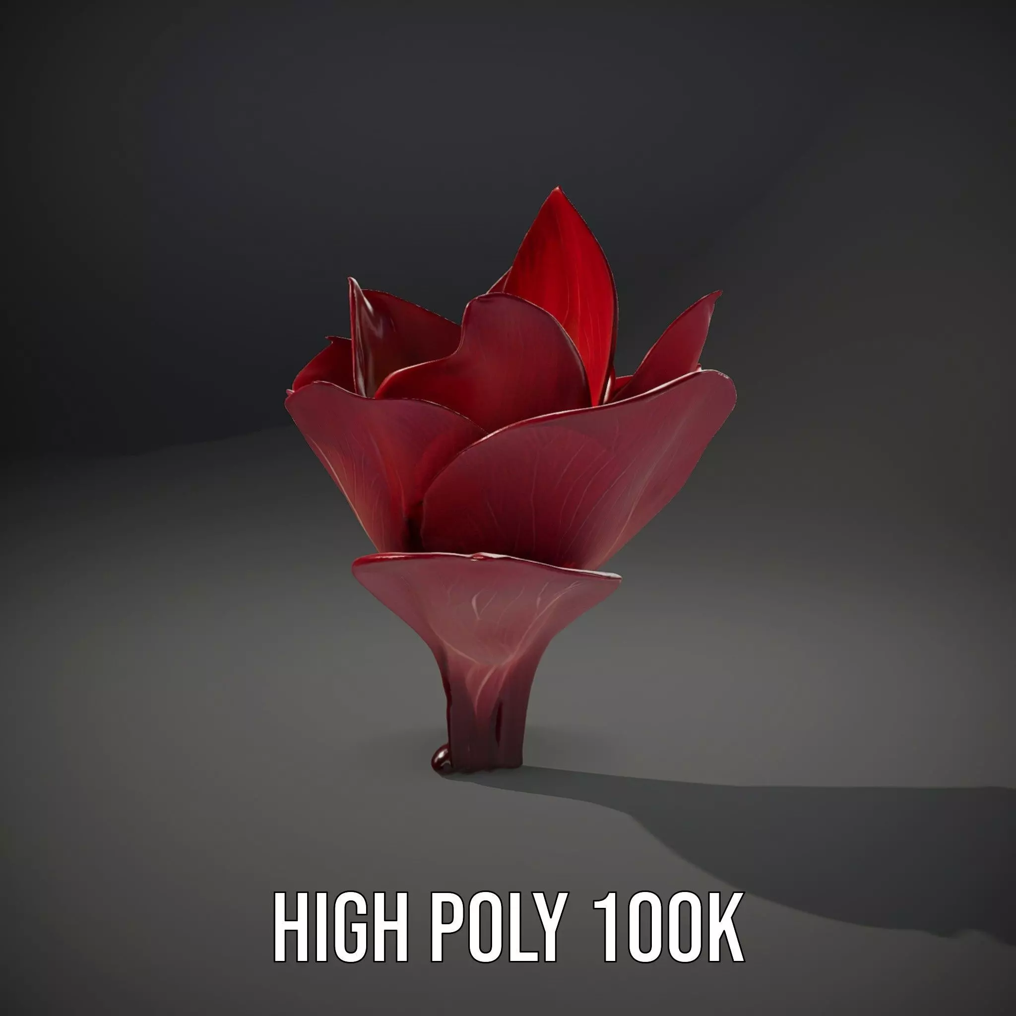 Radiant Lotus Flower model pack Low-poly 3D model_10