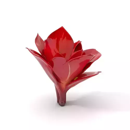Radiant Lotus Flower model pack Low-poly 3D model