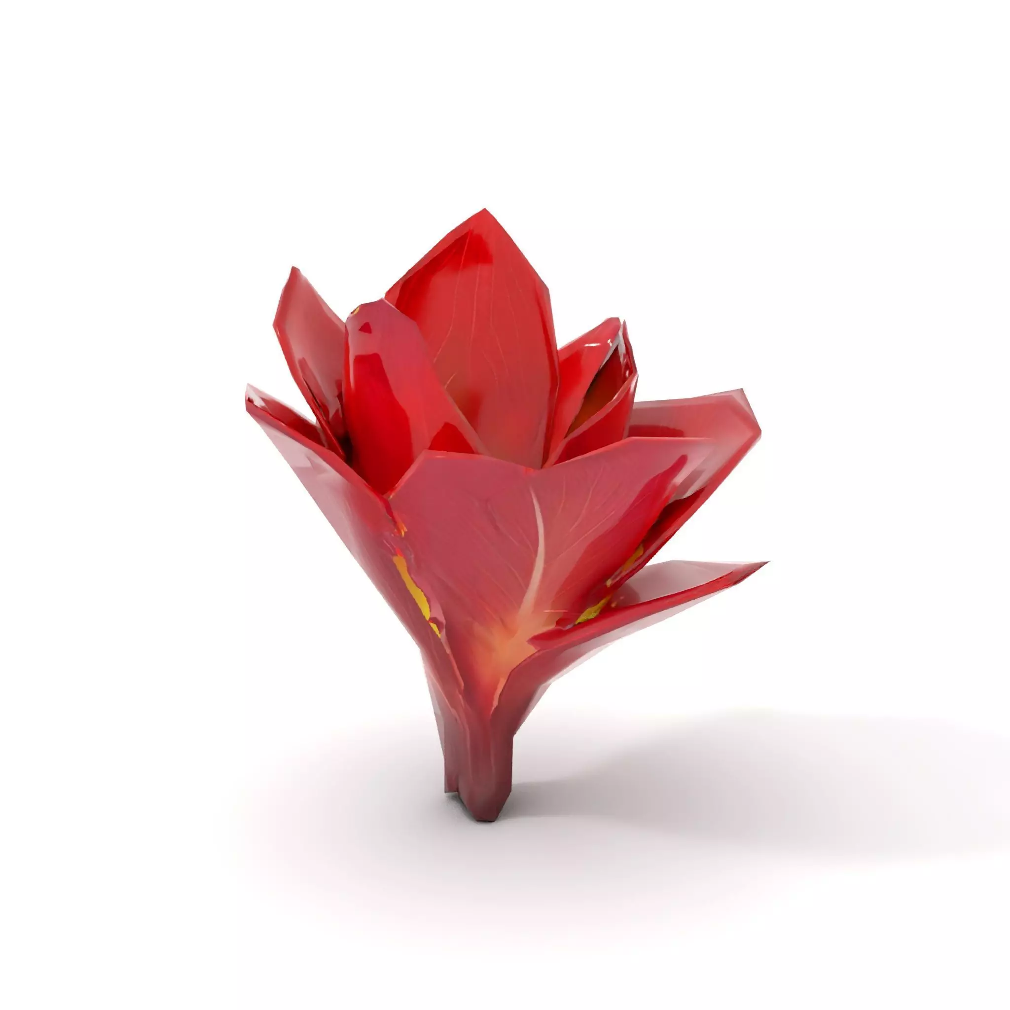 Radiant Lotus Flower model pack Low-poly 3D model_22