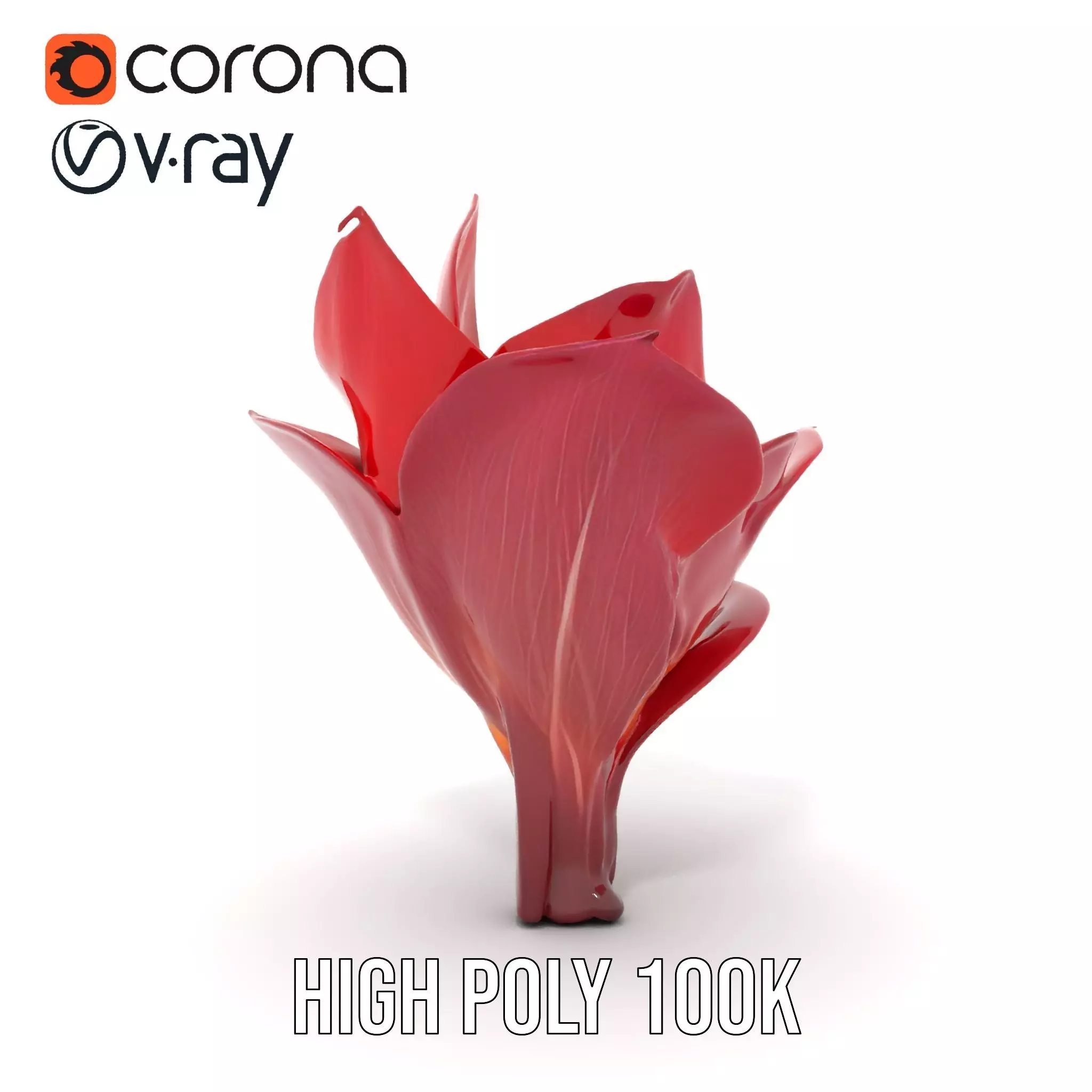 Radiant Lotus Flower model pack Low-poly 3D model_23