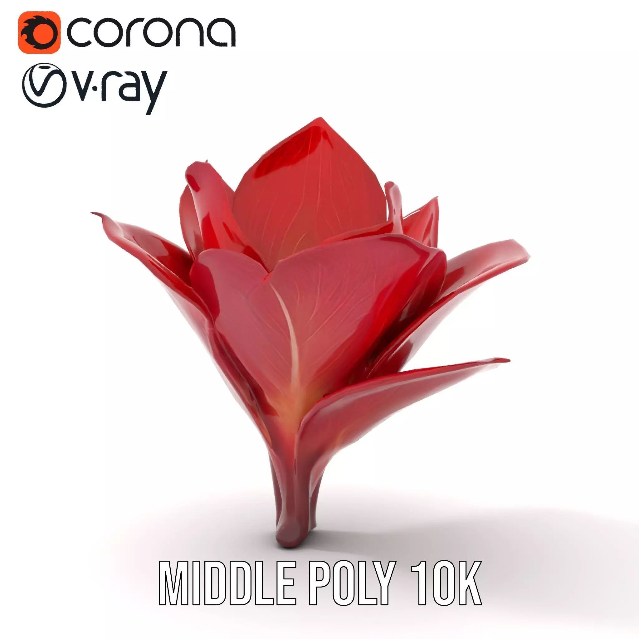 Radiant Lotus Flower model pack Low-poly 3D model_24