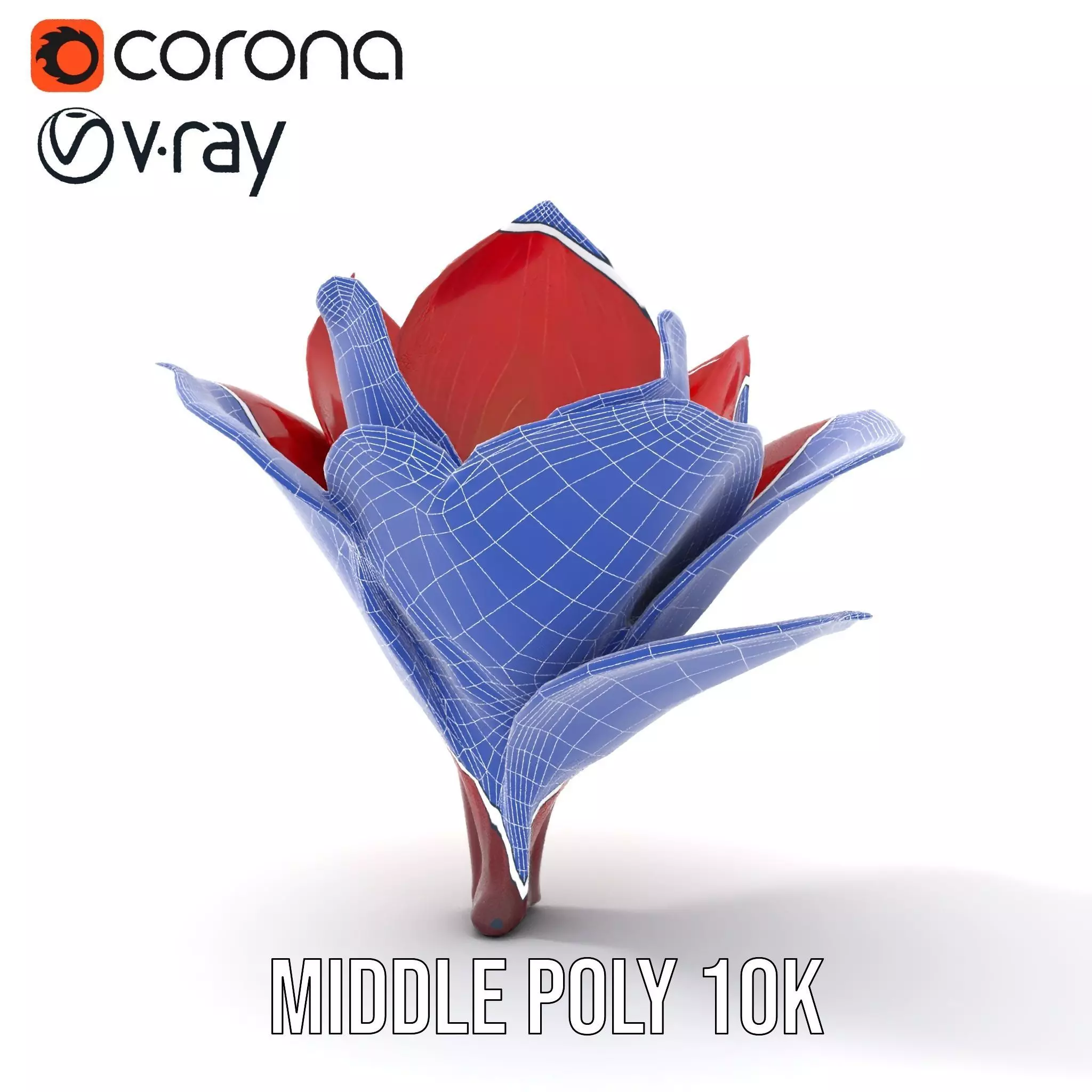 Radiant Lotus Flower model pack Low-poly 3D model_16