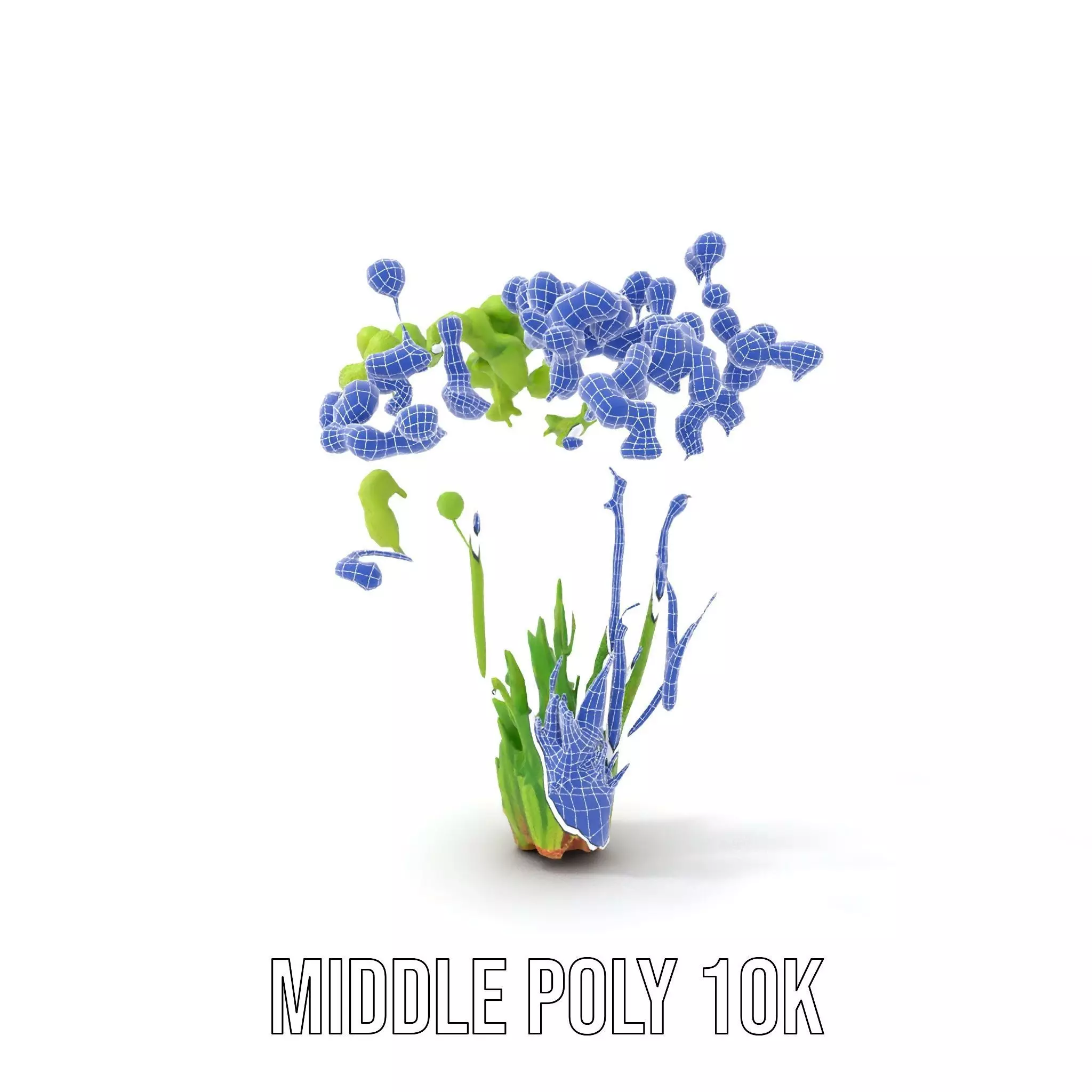 Green Seed Pods model pack Low-poly 3D model_19