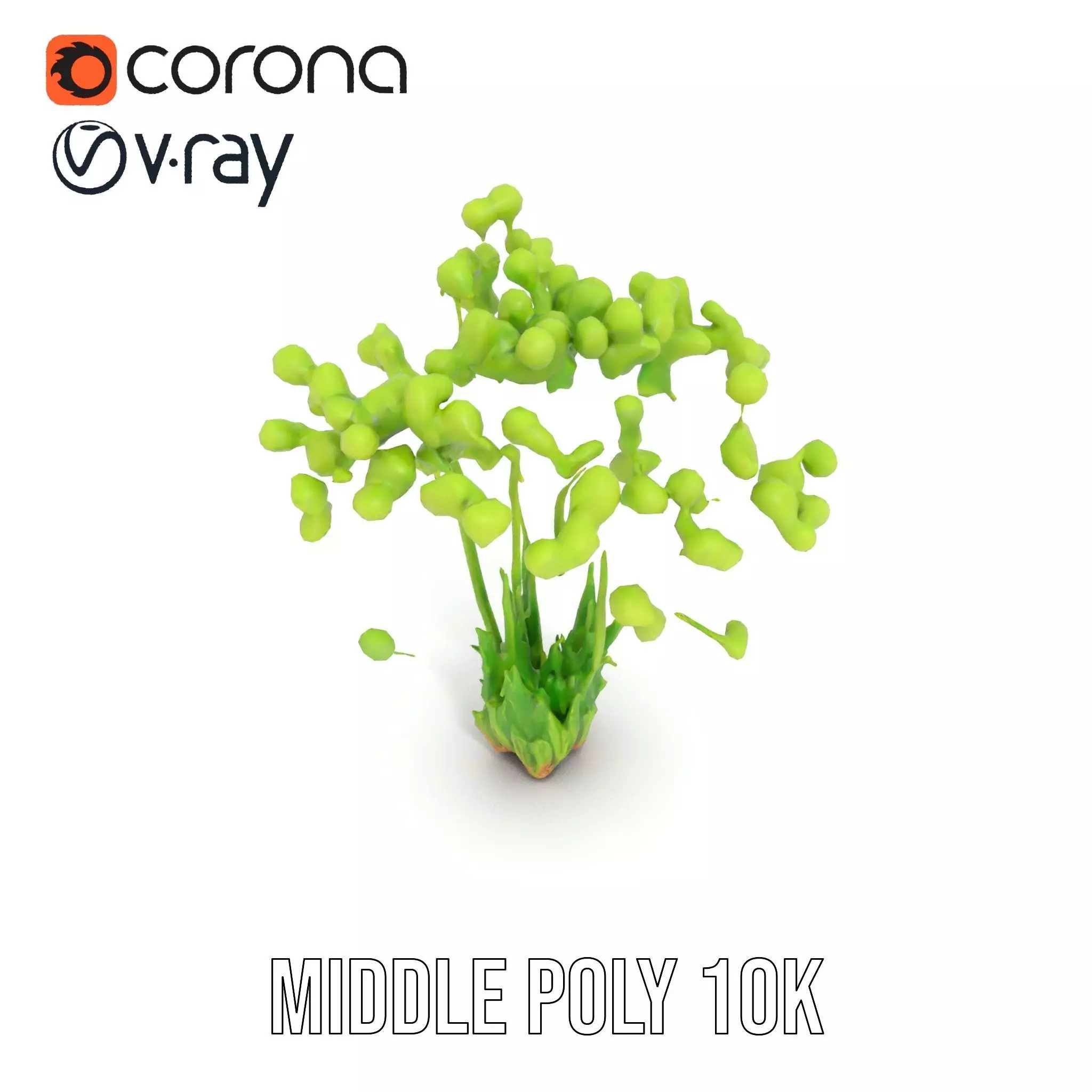 Green Seed Pods model pack Low-poly 3D model_16