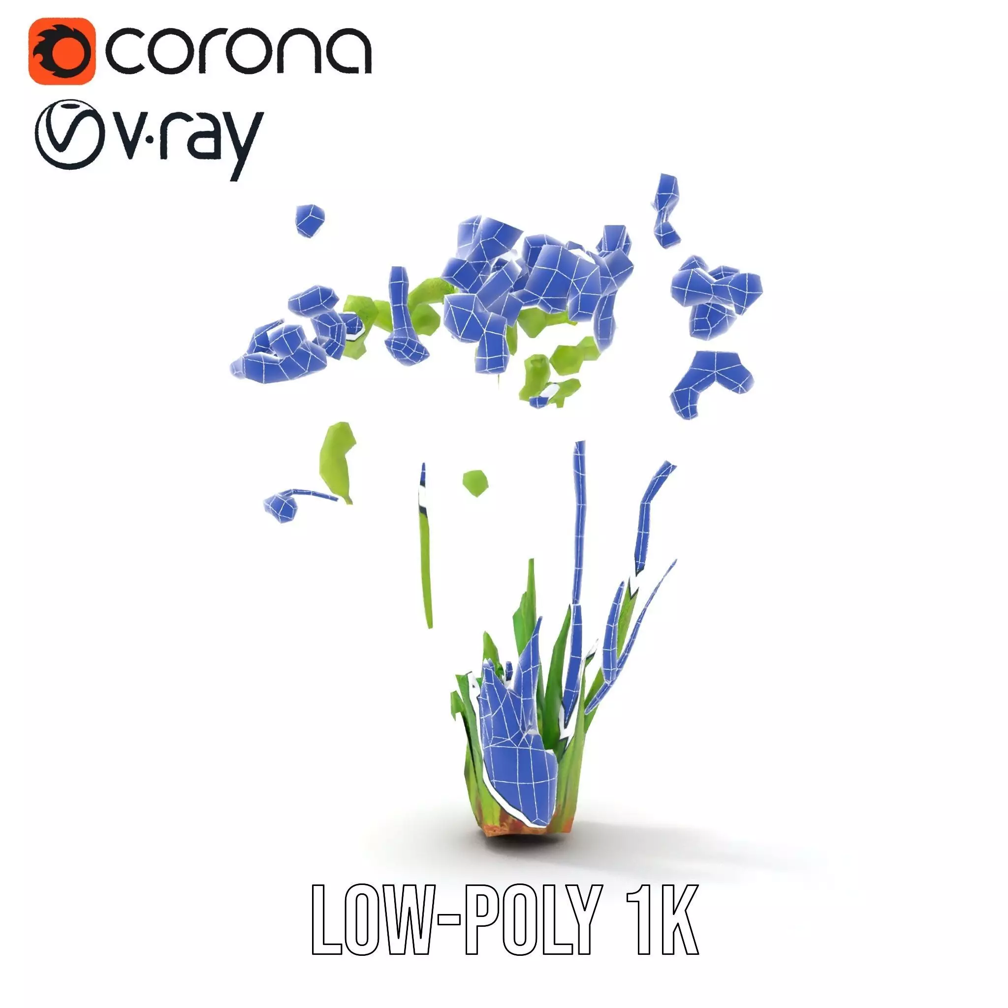 Green Seed Pods model pack Low-poly 3D model_20