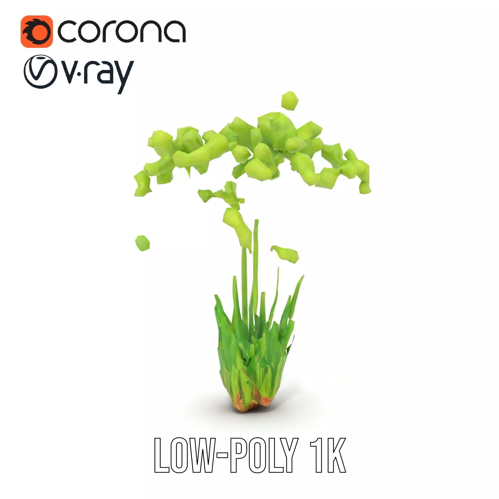 Green Seed Pods model pack Low-poly 3D model_27